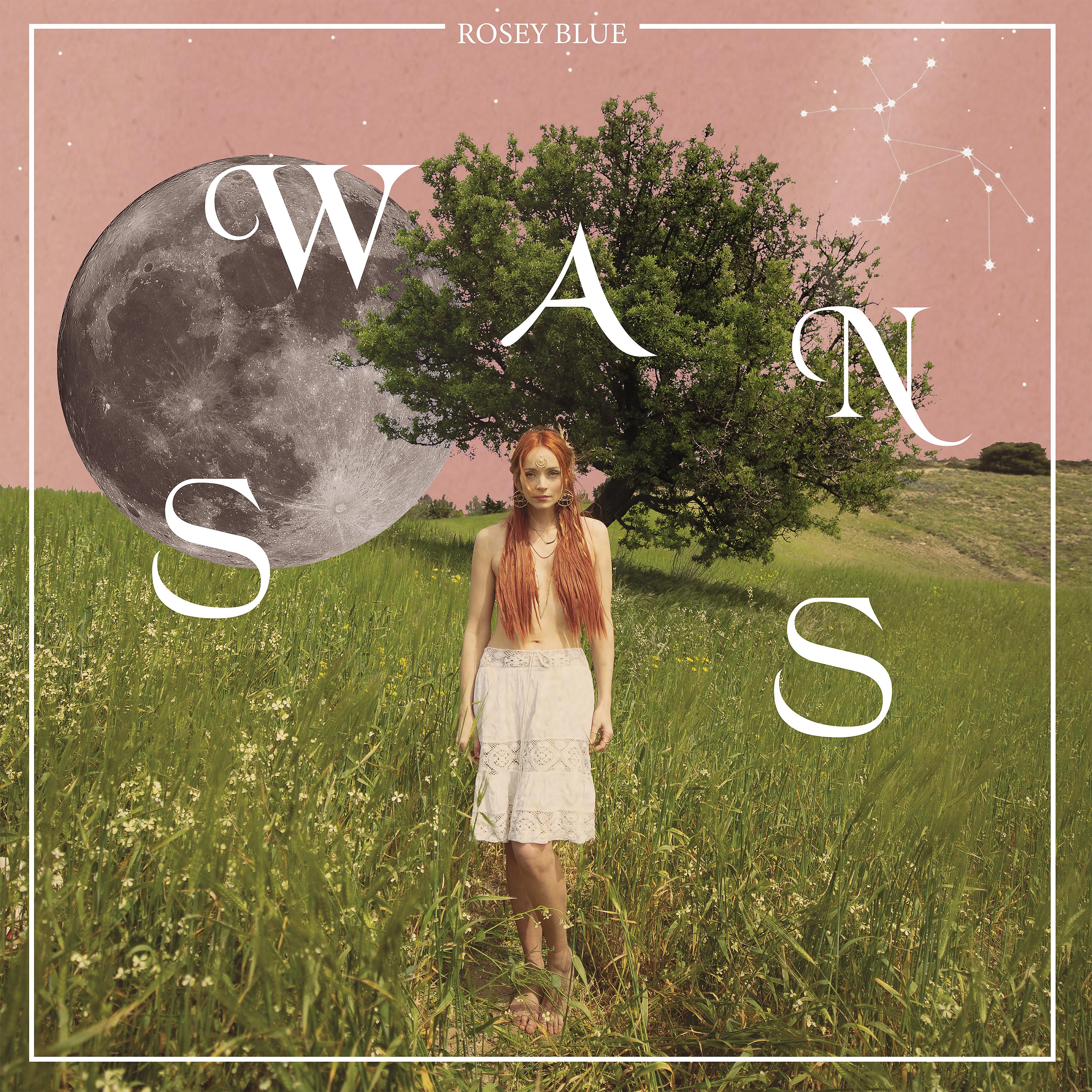 Постер альбома Swans