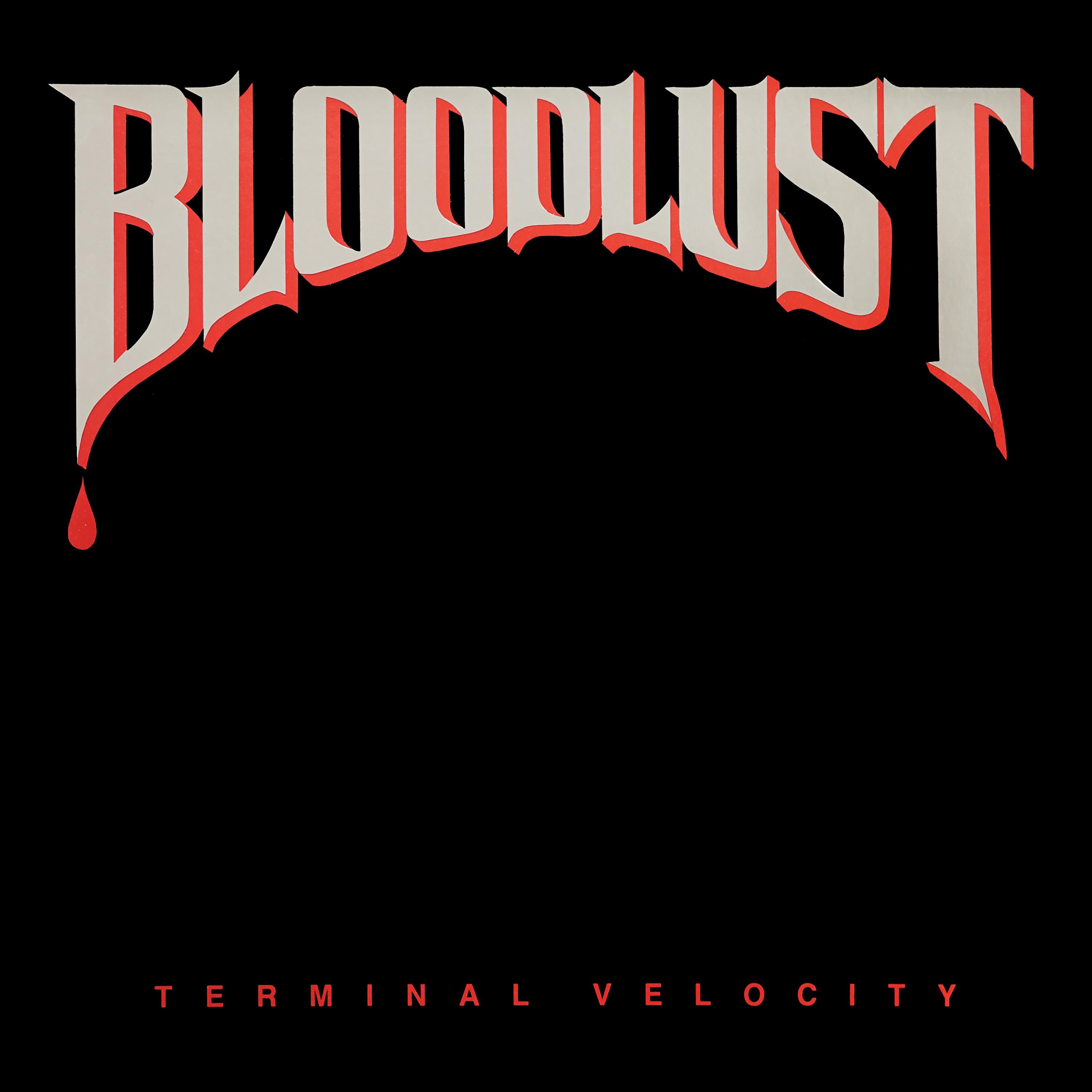 Постер альбома Terminal Velocity