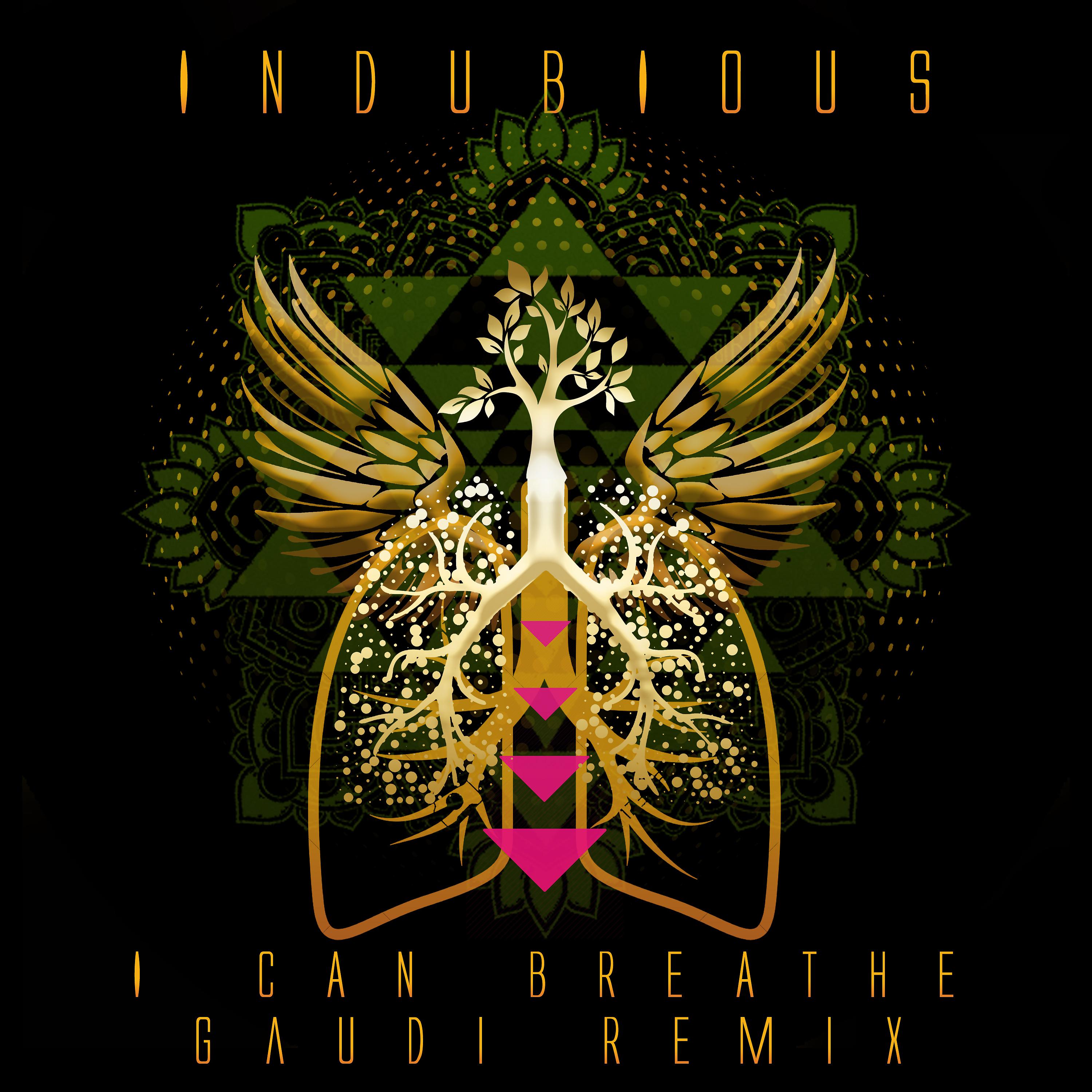 Постер альбома I Can Breathe (Gaudi Remixes)