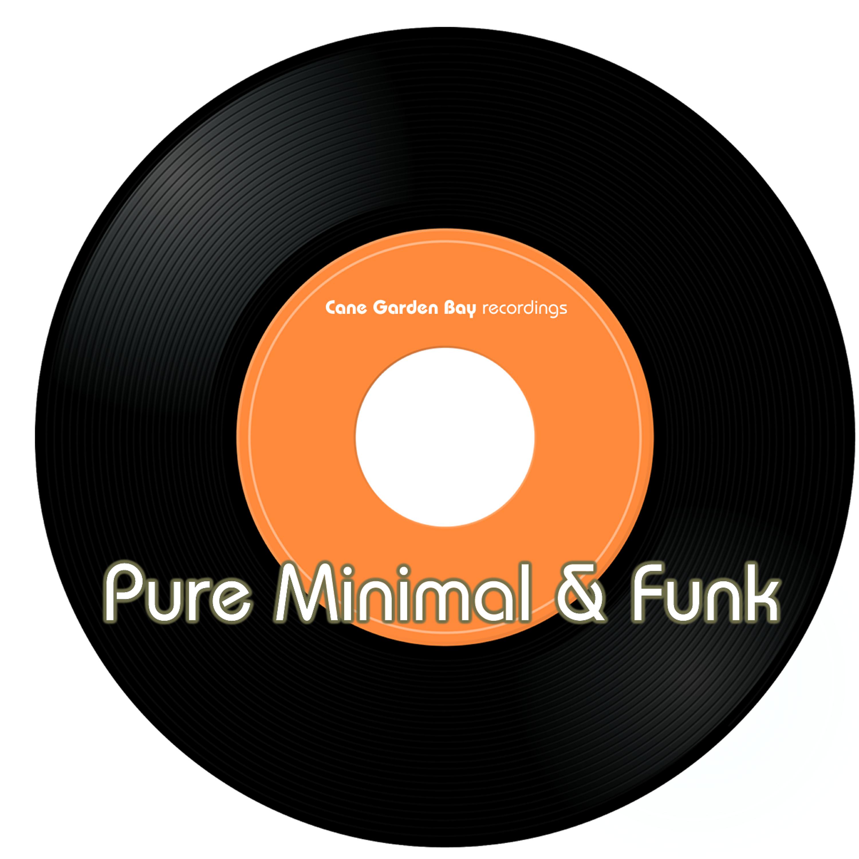 Постер альбома Pure Minimal & Funk Vol.1
