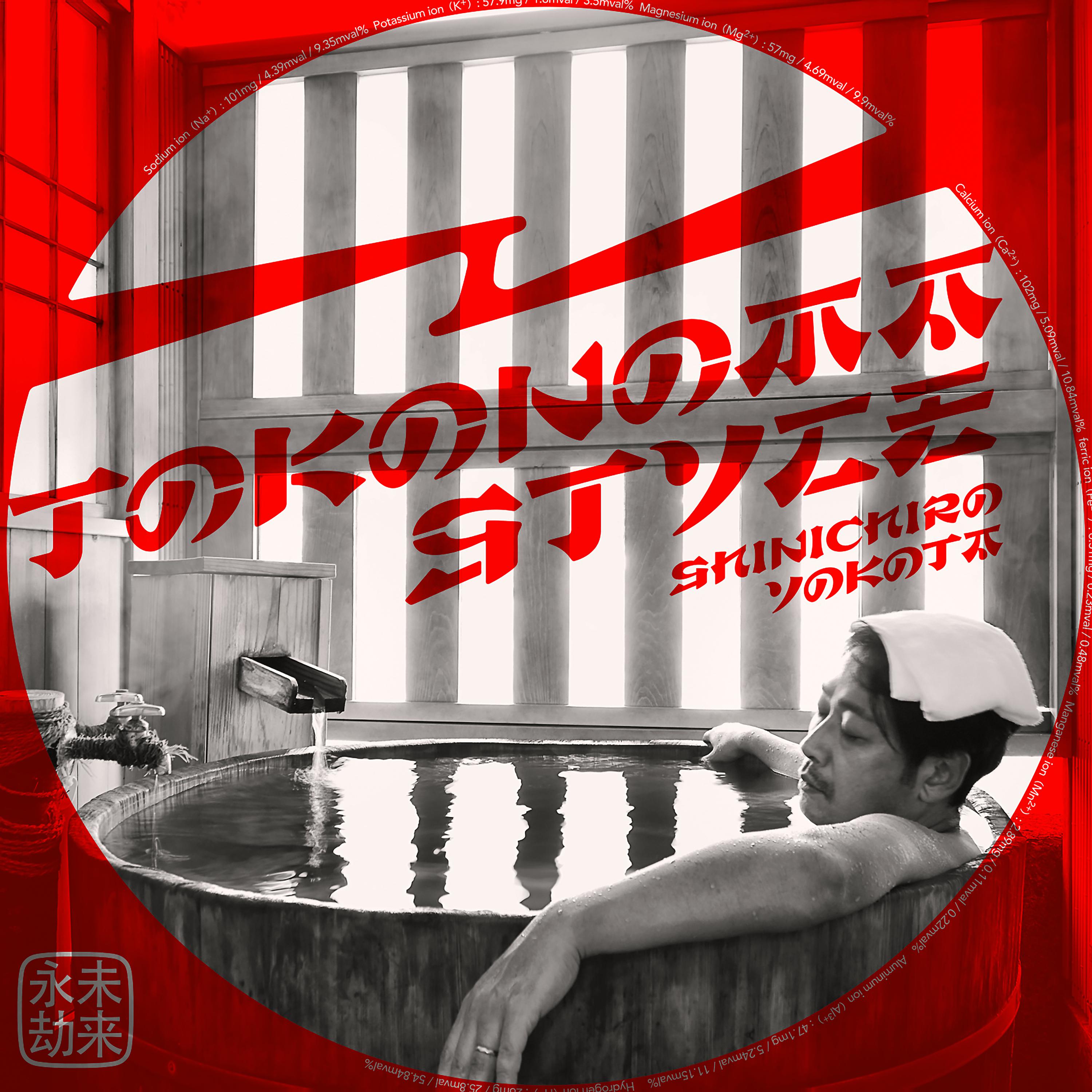 Постер альбома Tokonoma Style