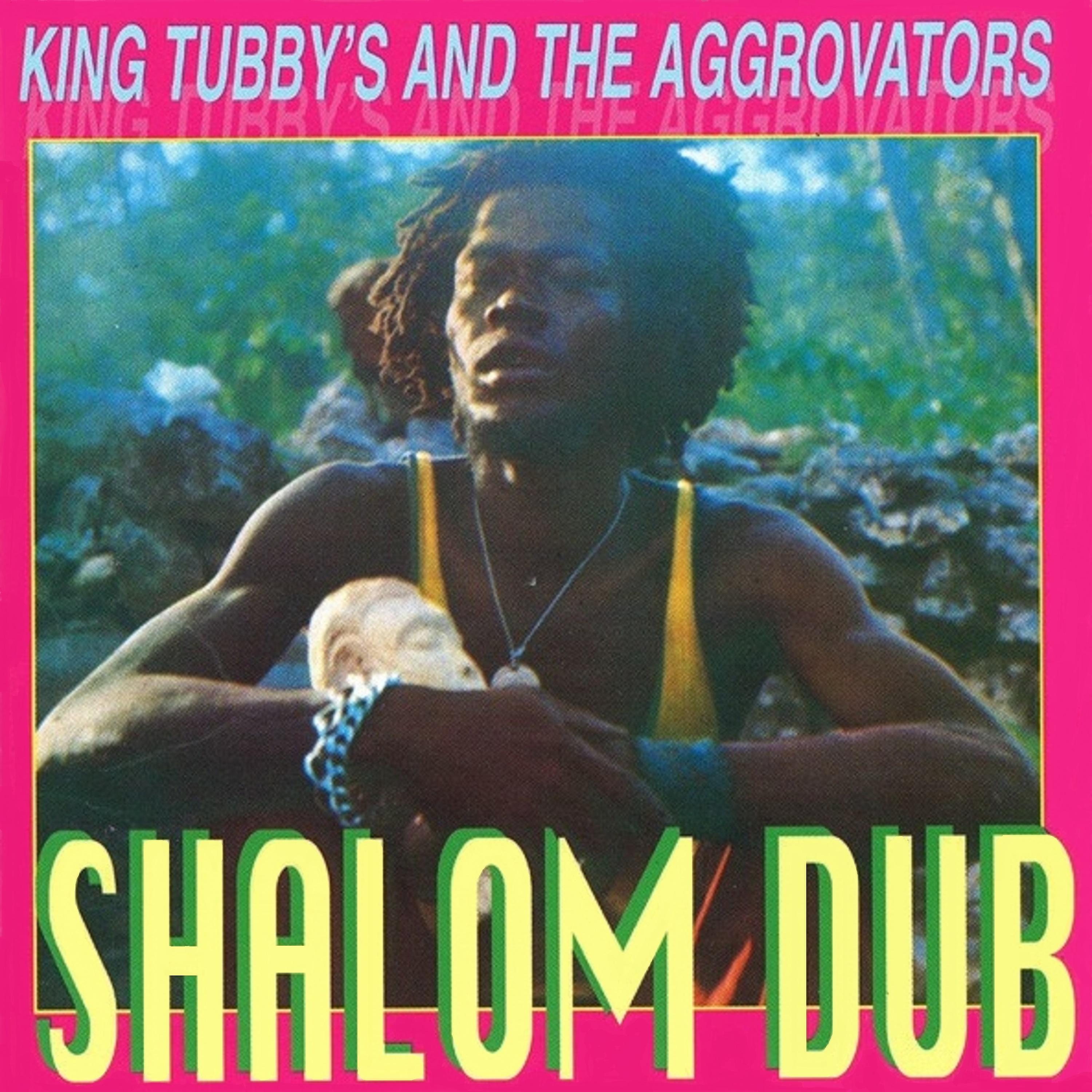 Постер альбома Shalom Dub