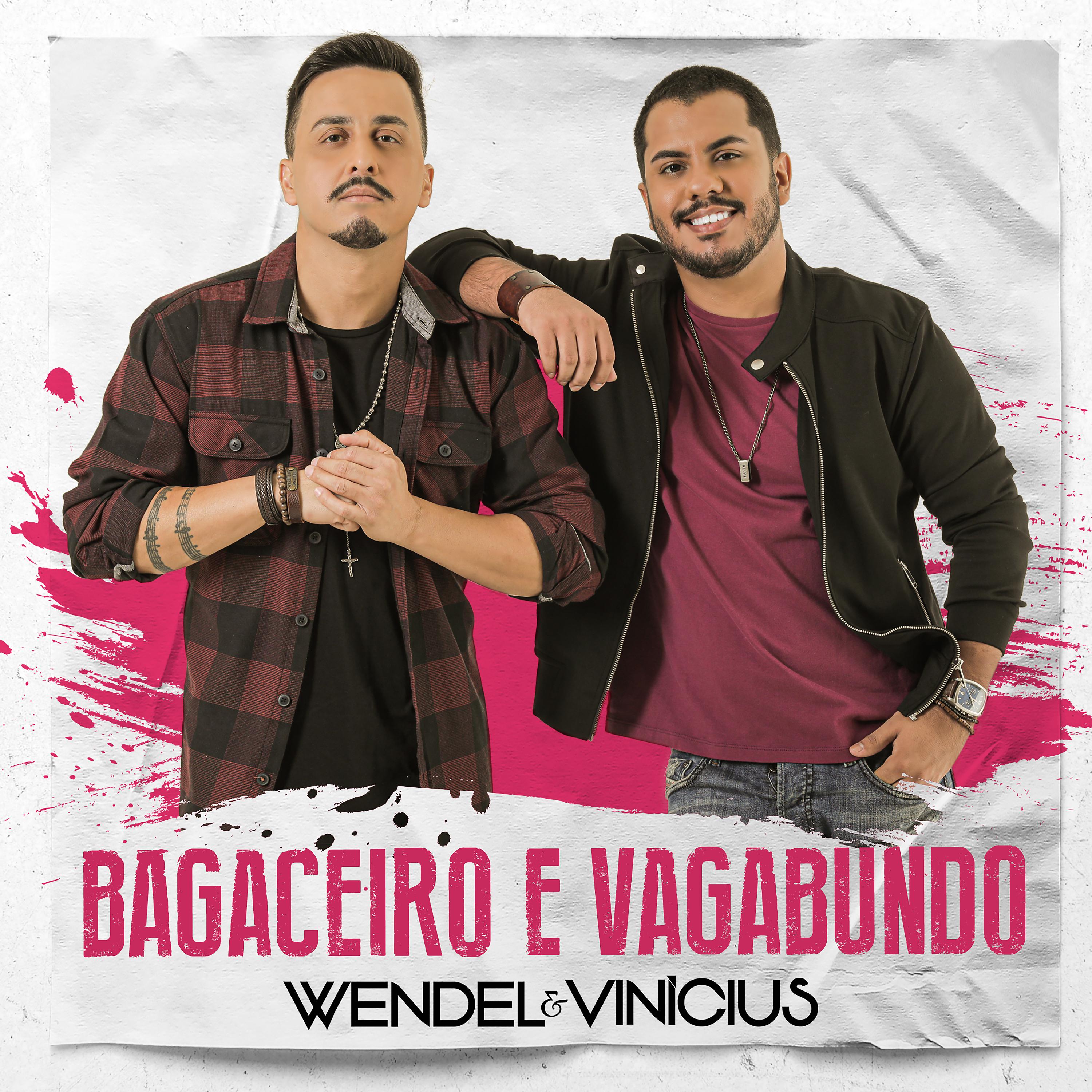 Постер альбома Bagaceiro e Vagabundo