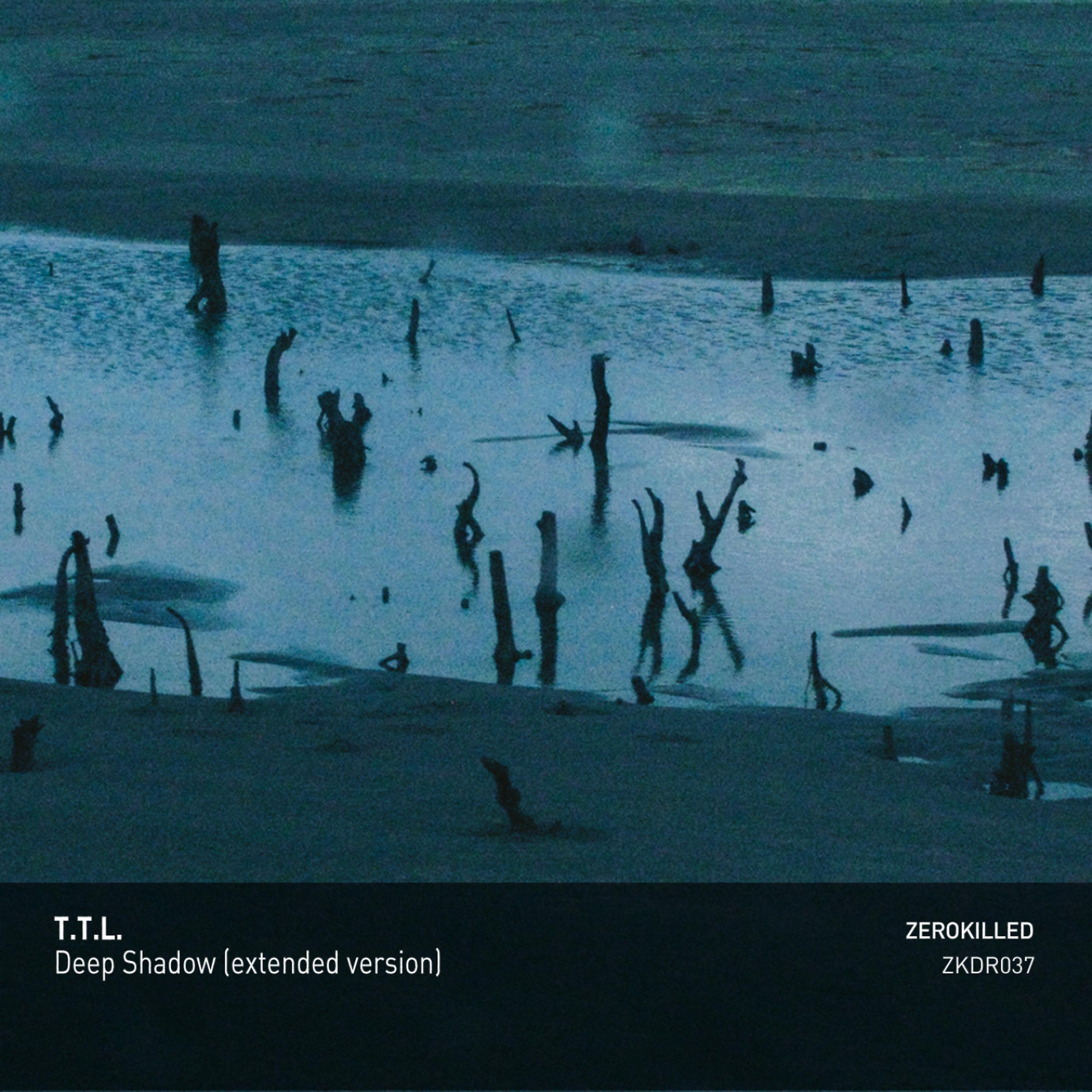 Постер альбома Deep Shadow (Extended Version)