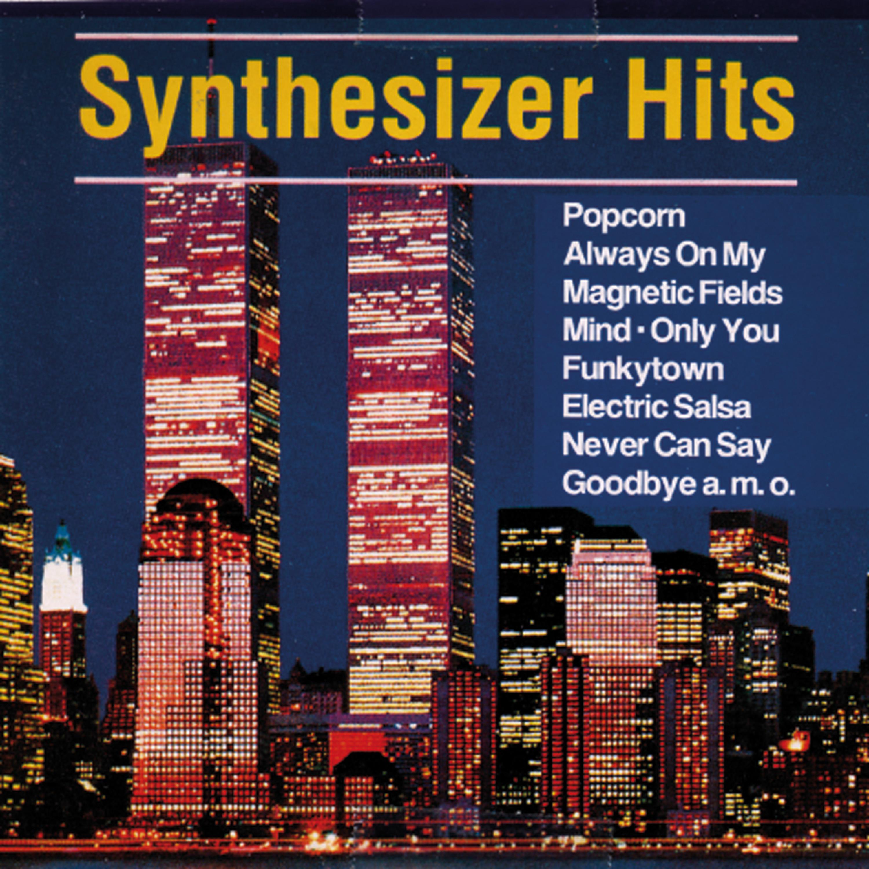Постер альбома Synthesizer Hits