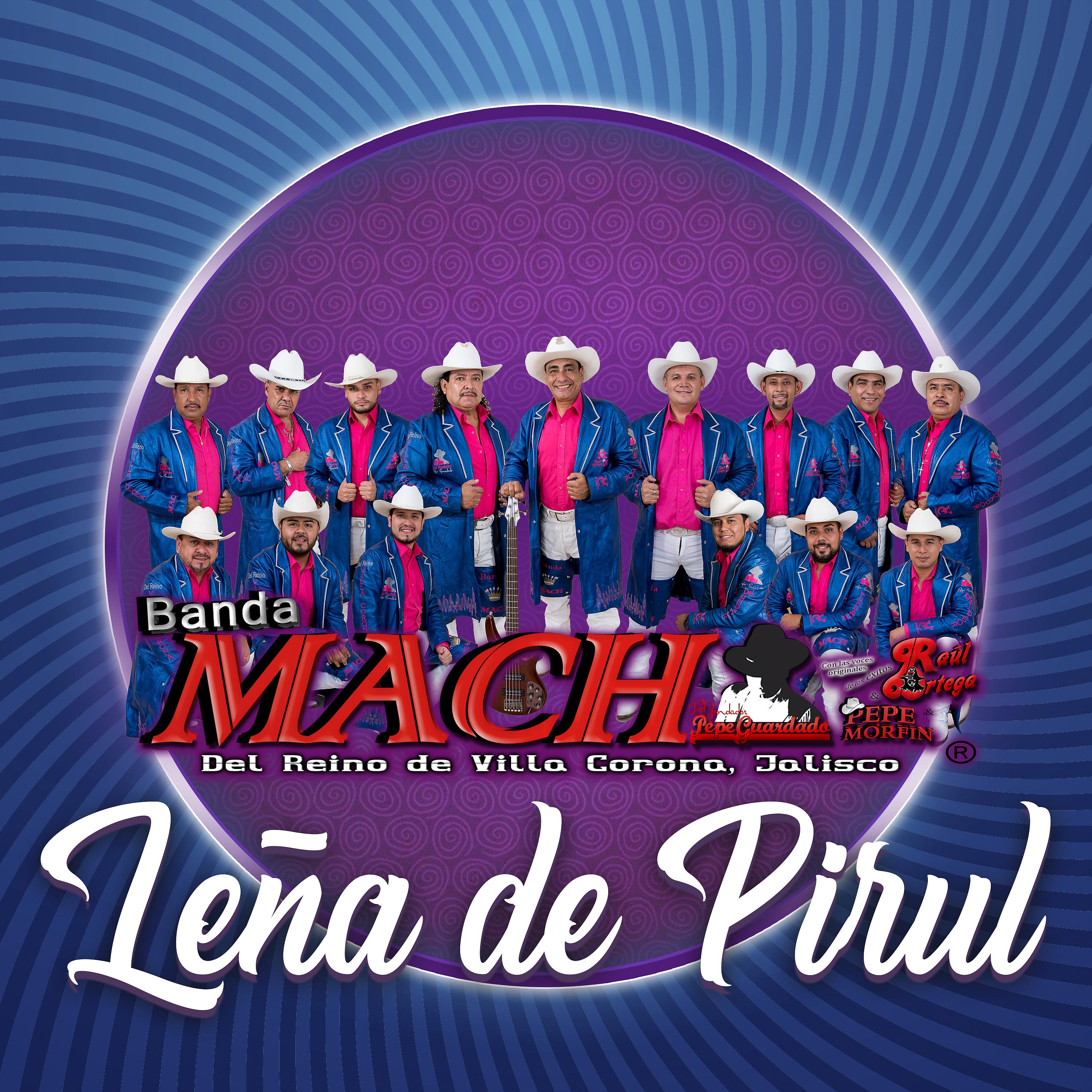 Постер альбома Leña de Pirul