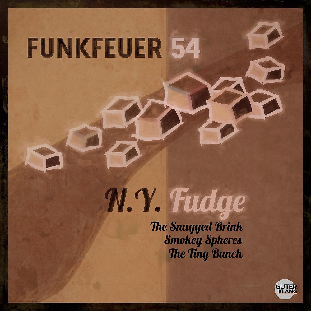 Постер альбома Ny. Fudge