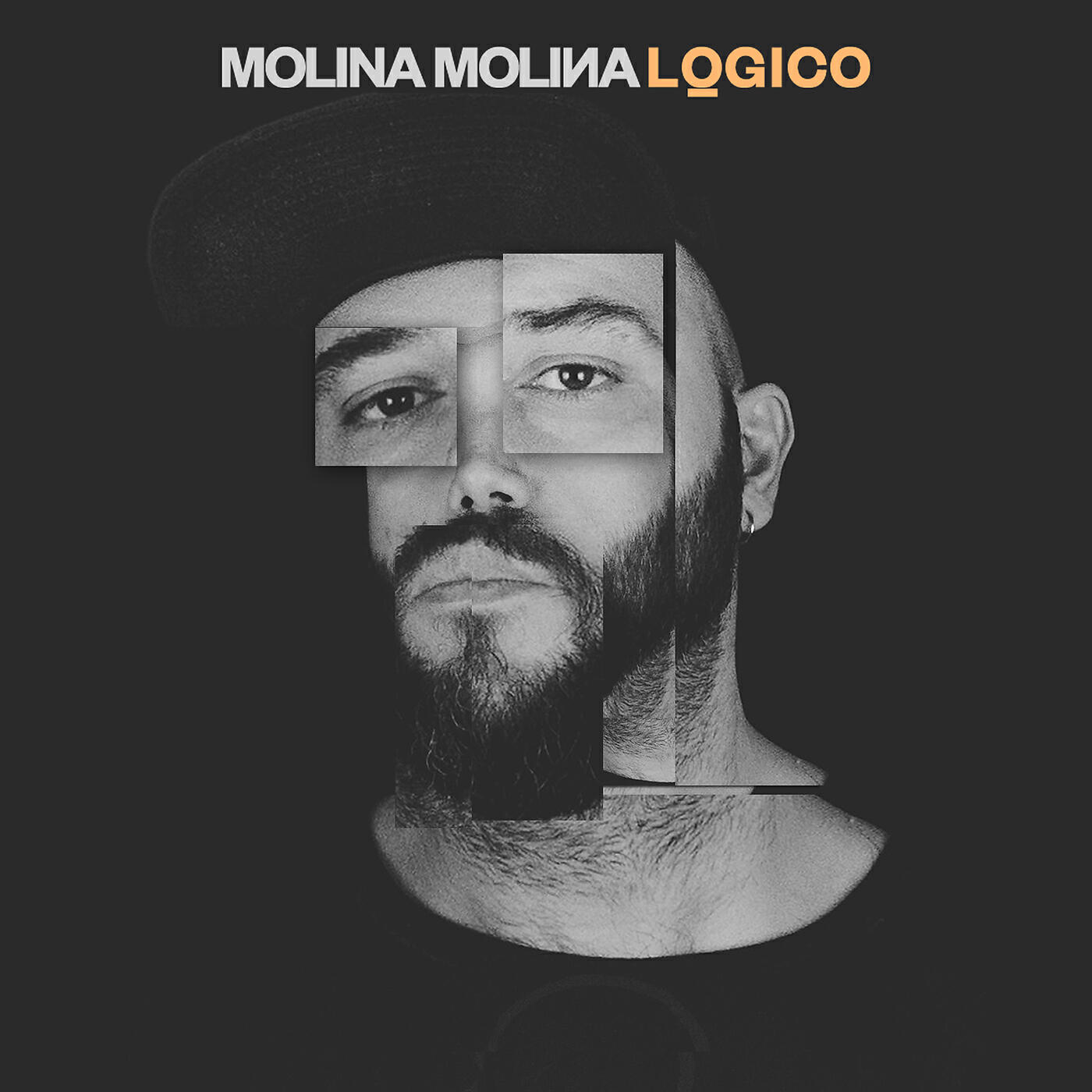 Molina Molina - Lógico
