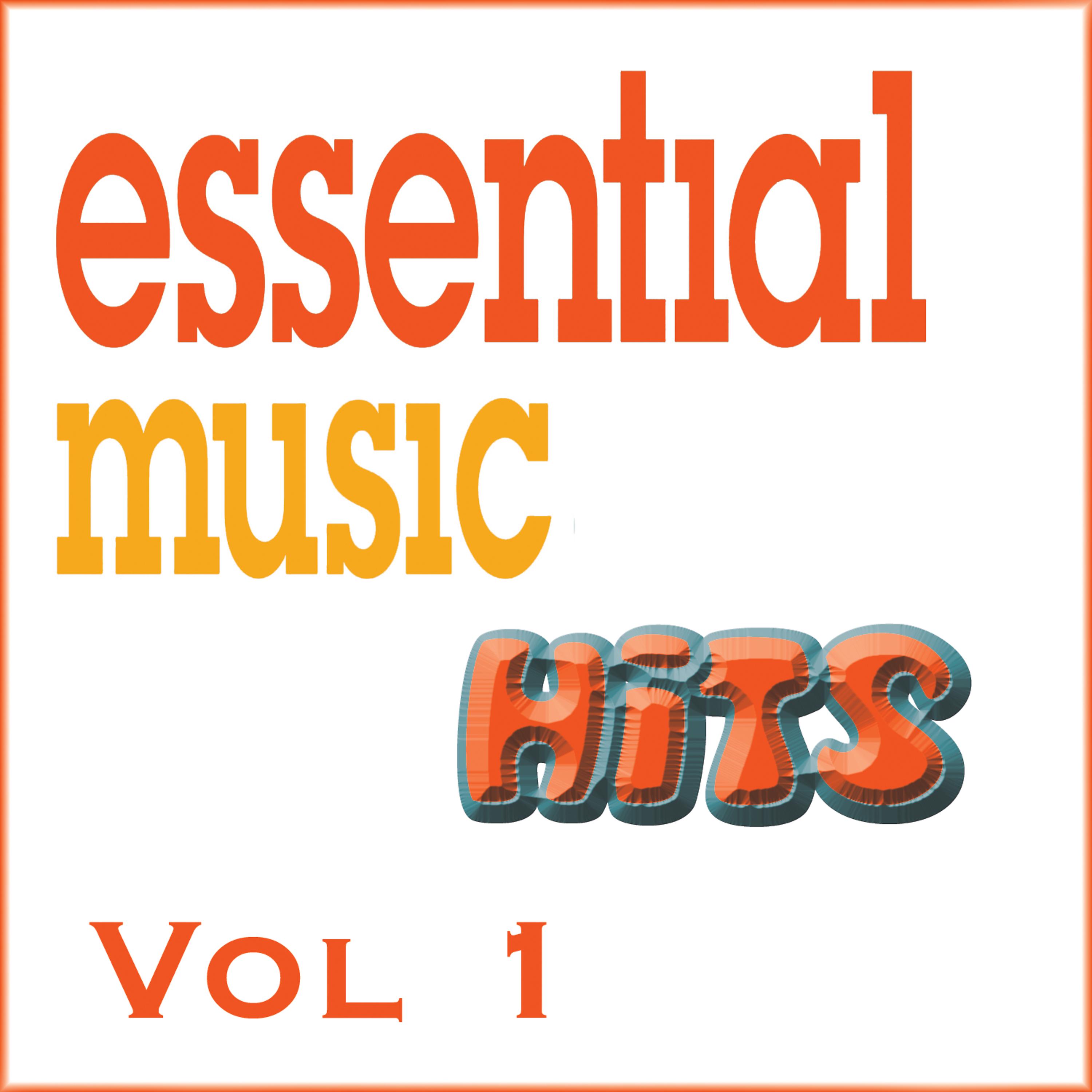 Постер альбома Essential Music Hits, Vol. 1