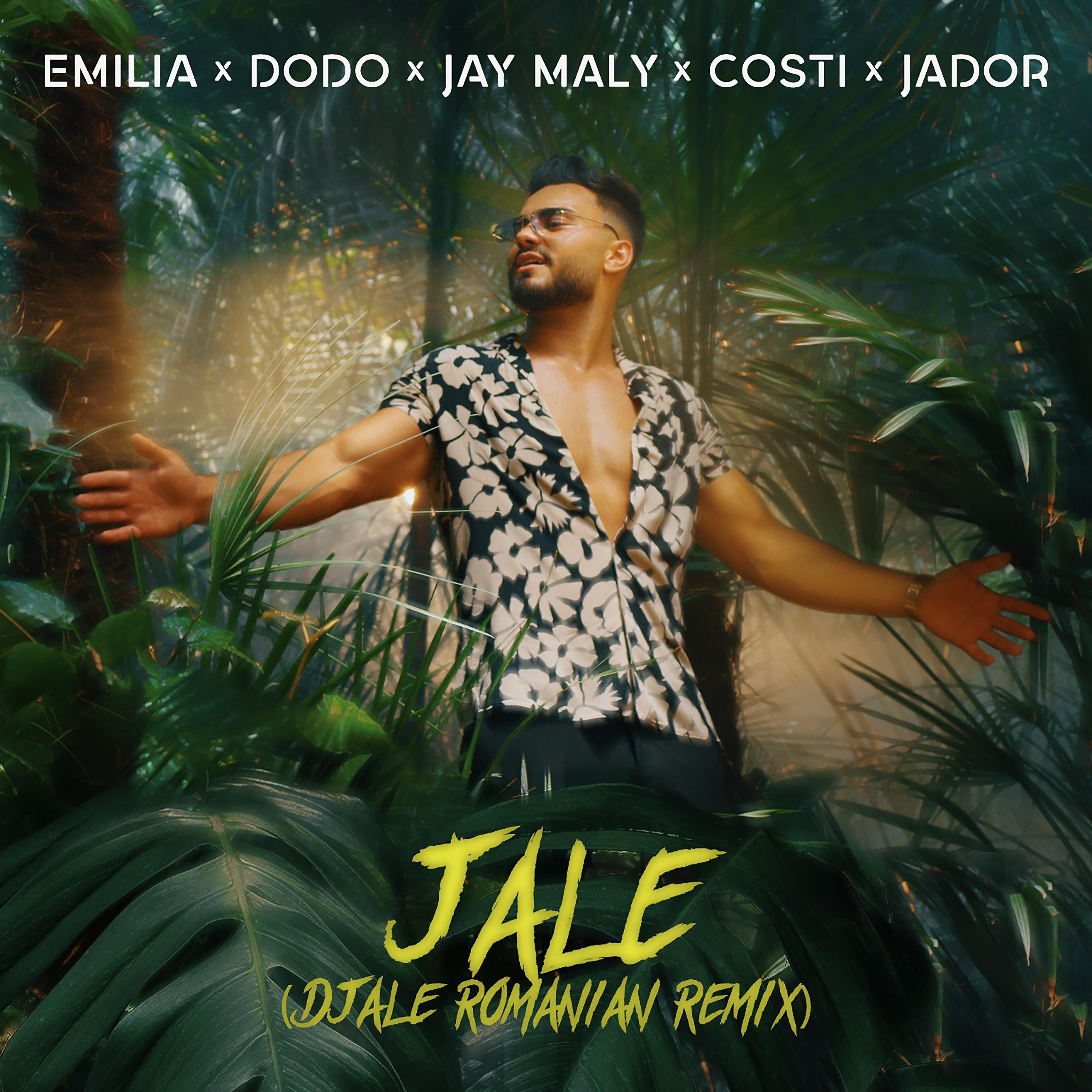 Постер альбома JALE (Djeale Romanian Remix)
