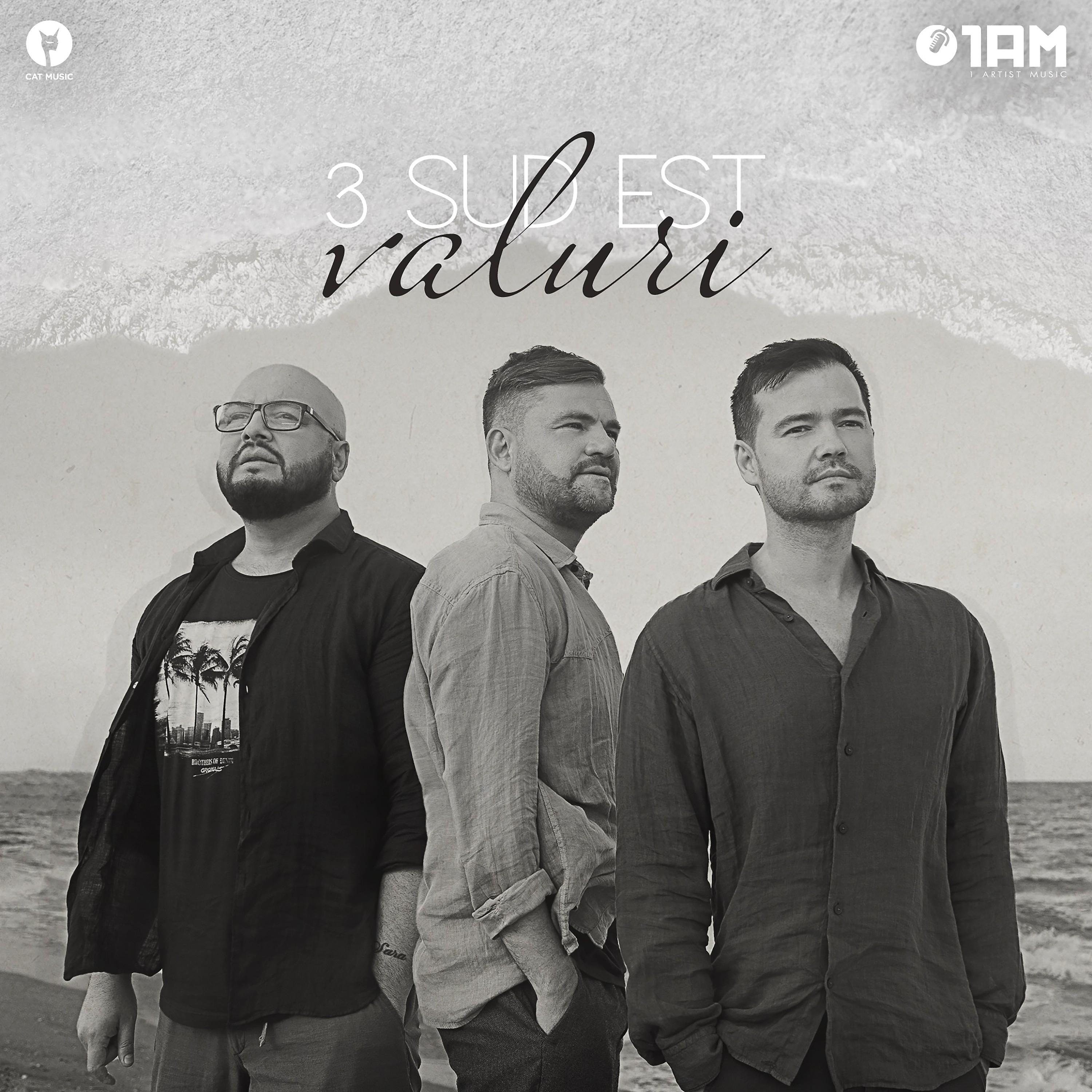 Постер альбома Valuri