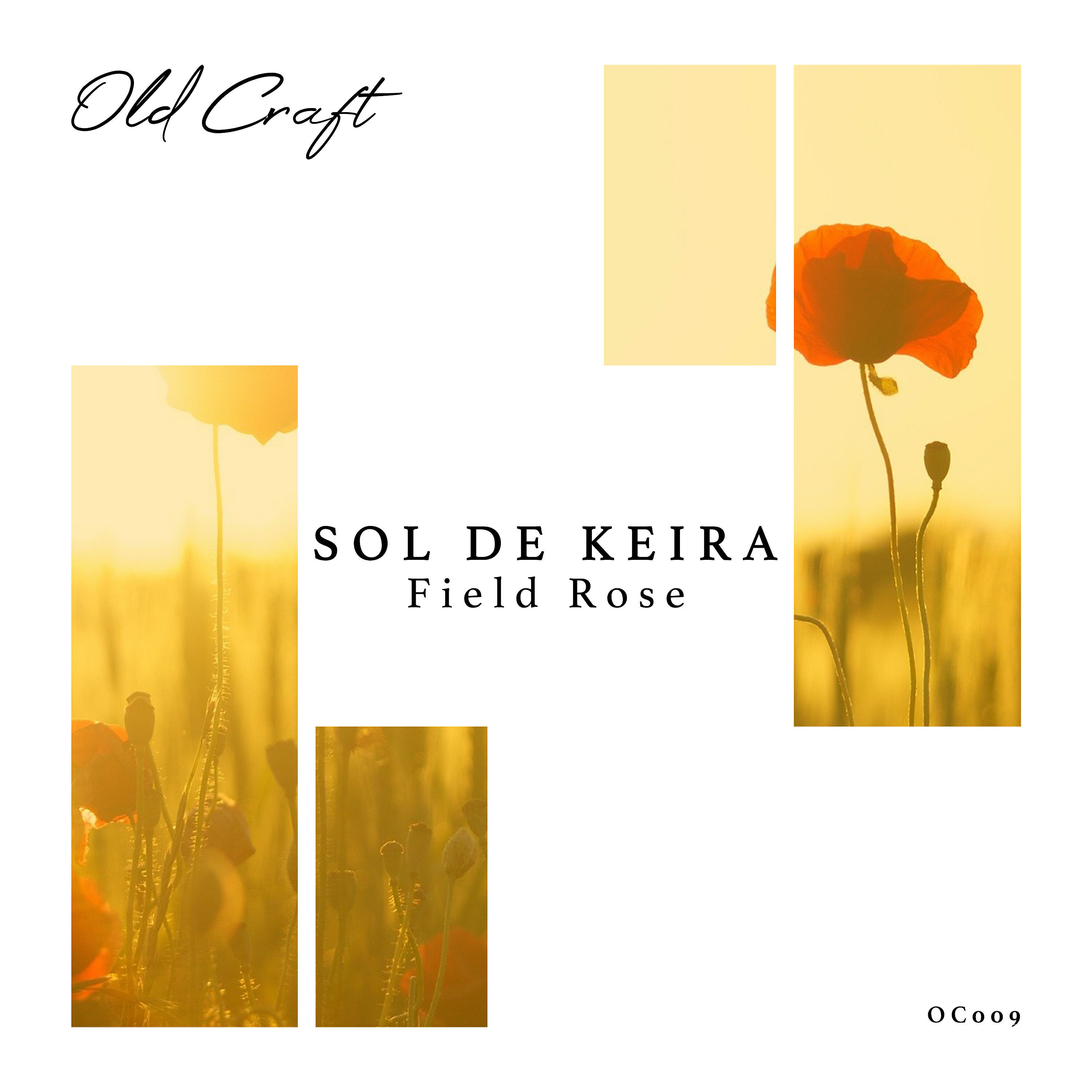 SOL DE KEIRA - Field Rose (Radio Edit)