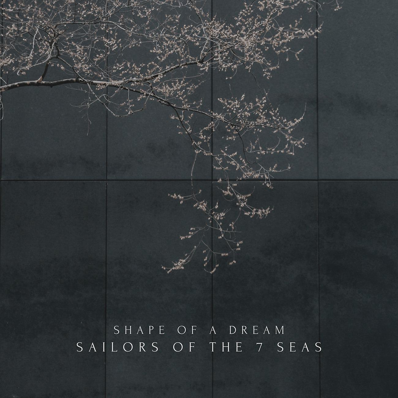 Постер альбома Shape Of A Dream