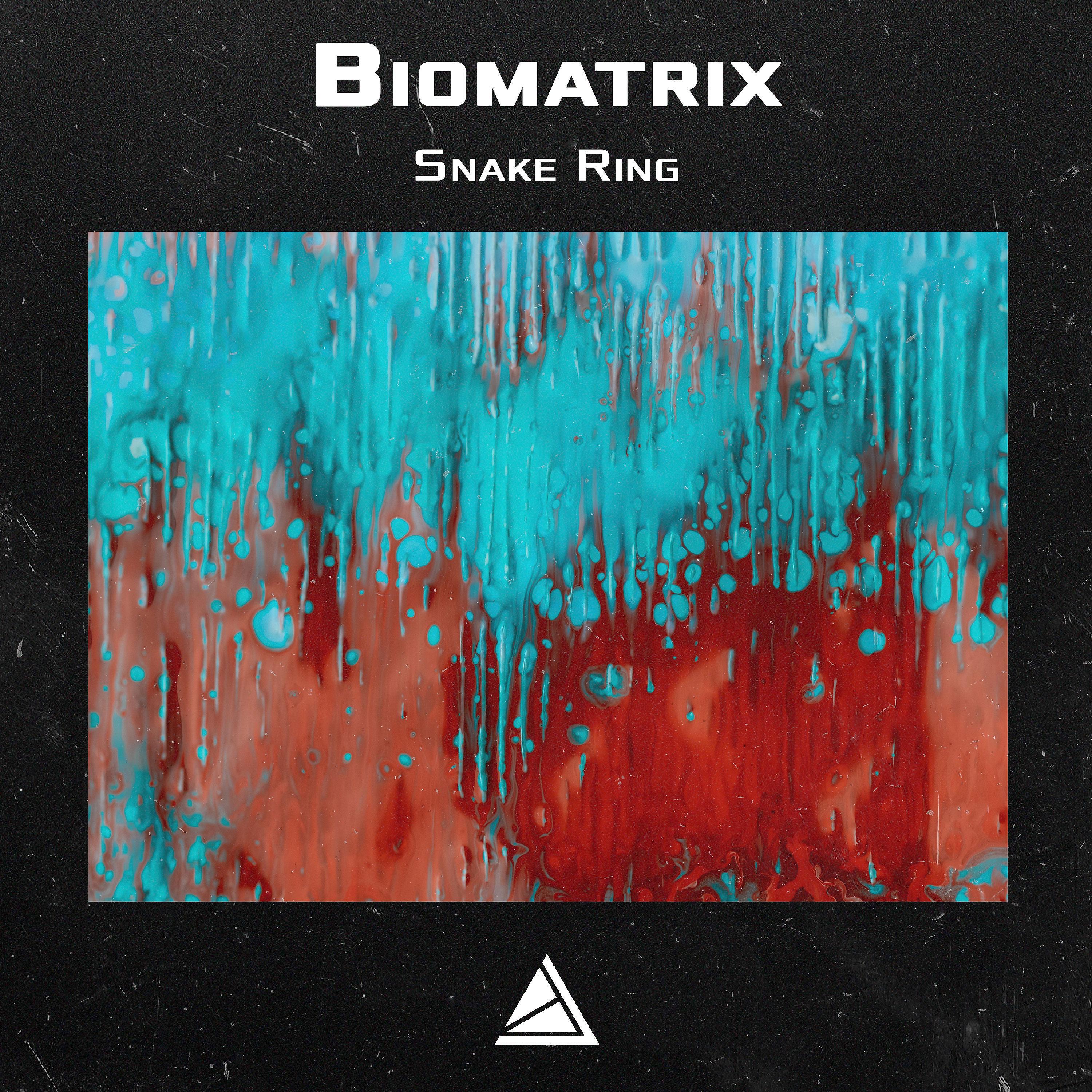 Biomatrix - Pipe Mario