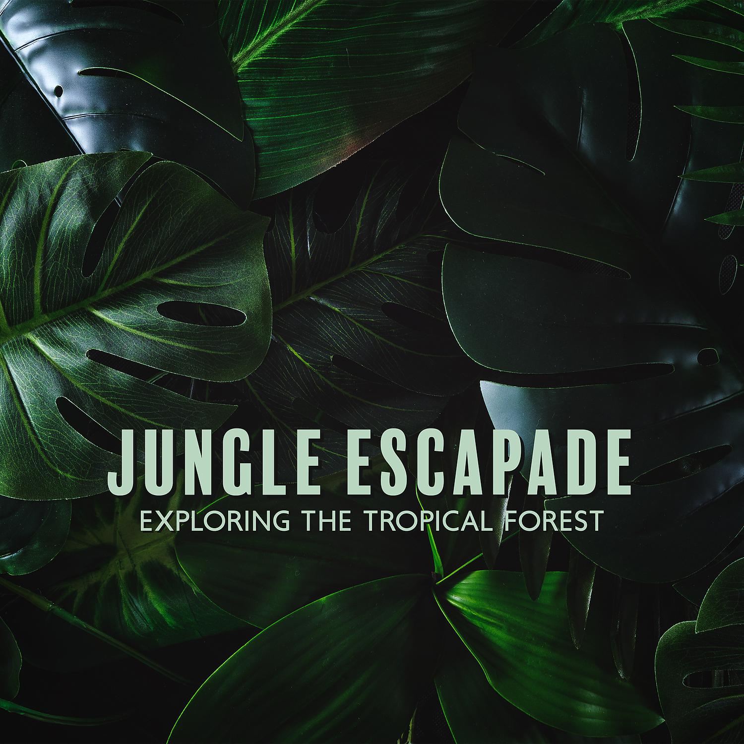 Постер альбома Jungle Escapade: Exploring the Tropical Forest