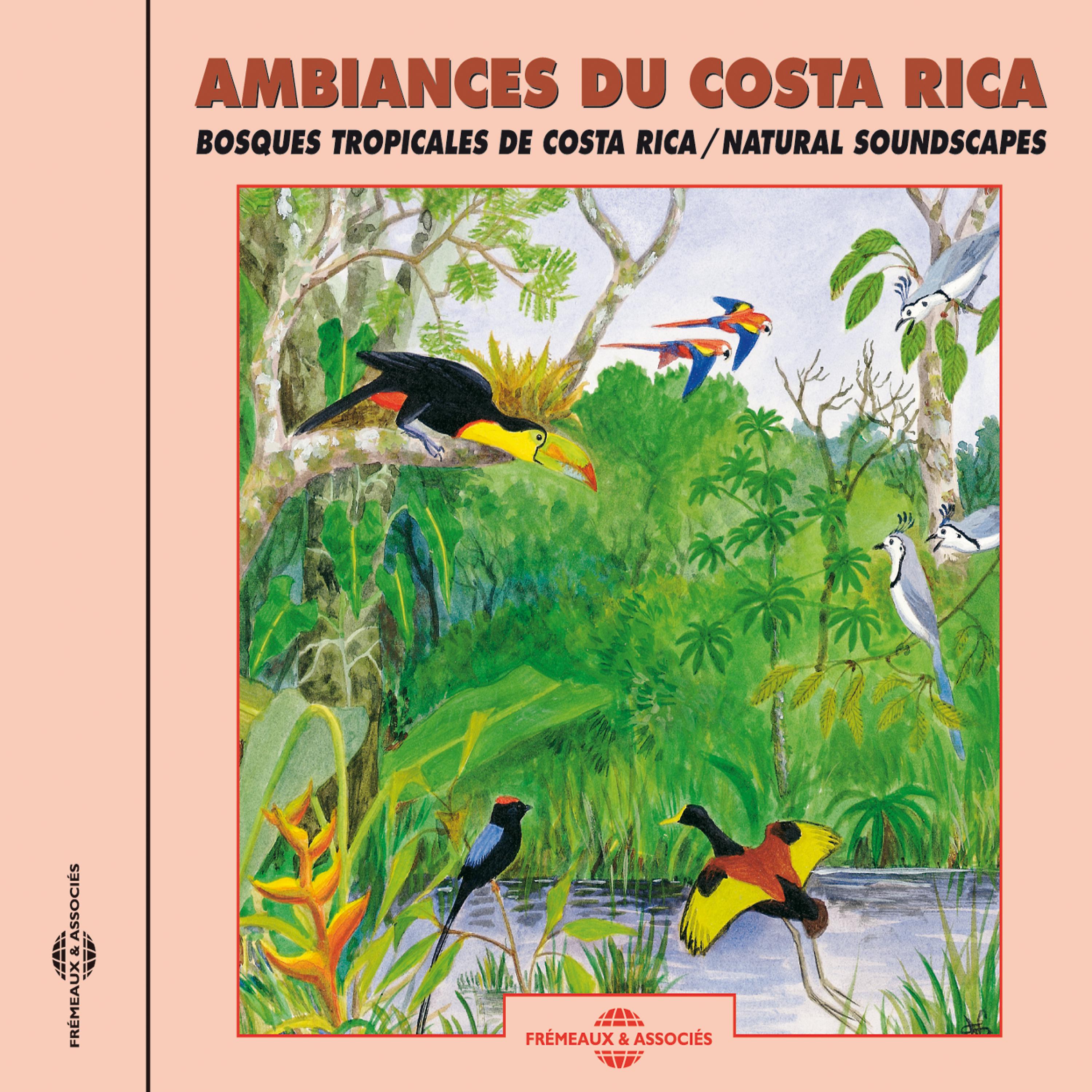 Постер альбома Costa-Rica Soundscapes