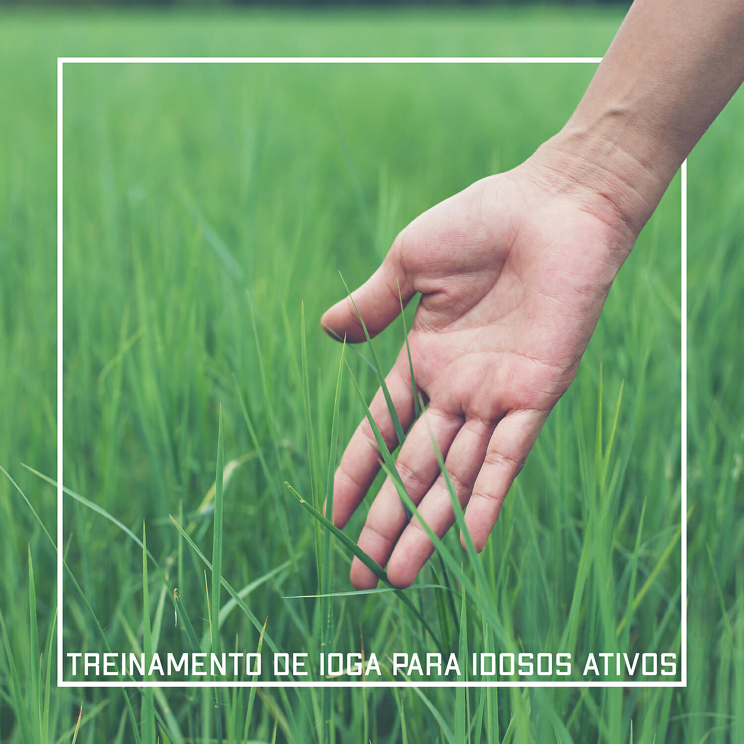 Academia Sons da Natureza - Doces Lembranças