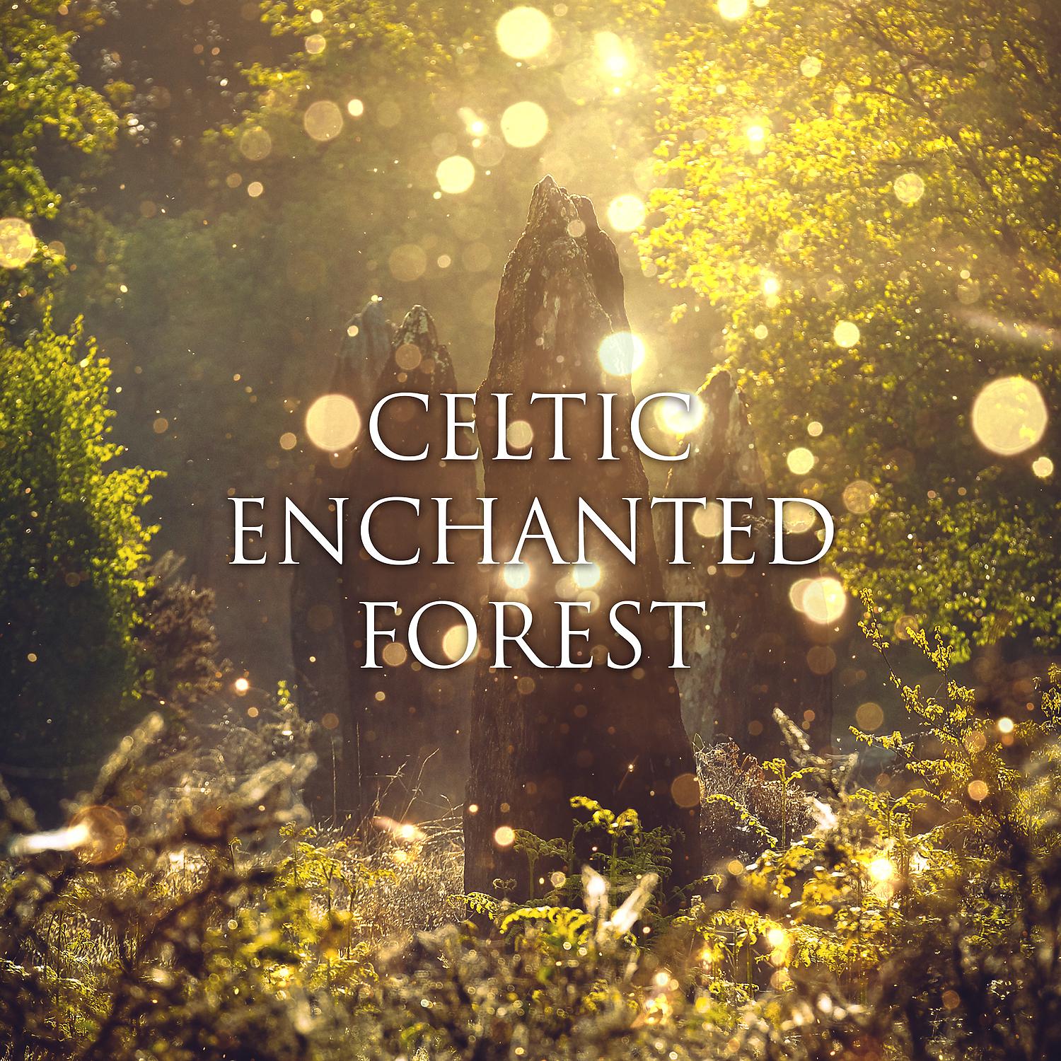 Постер альбома Celtic Enchanted Forest: 仕事のためのケルト音楽のコレクション, Relaxing Celtic Ambient