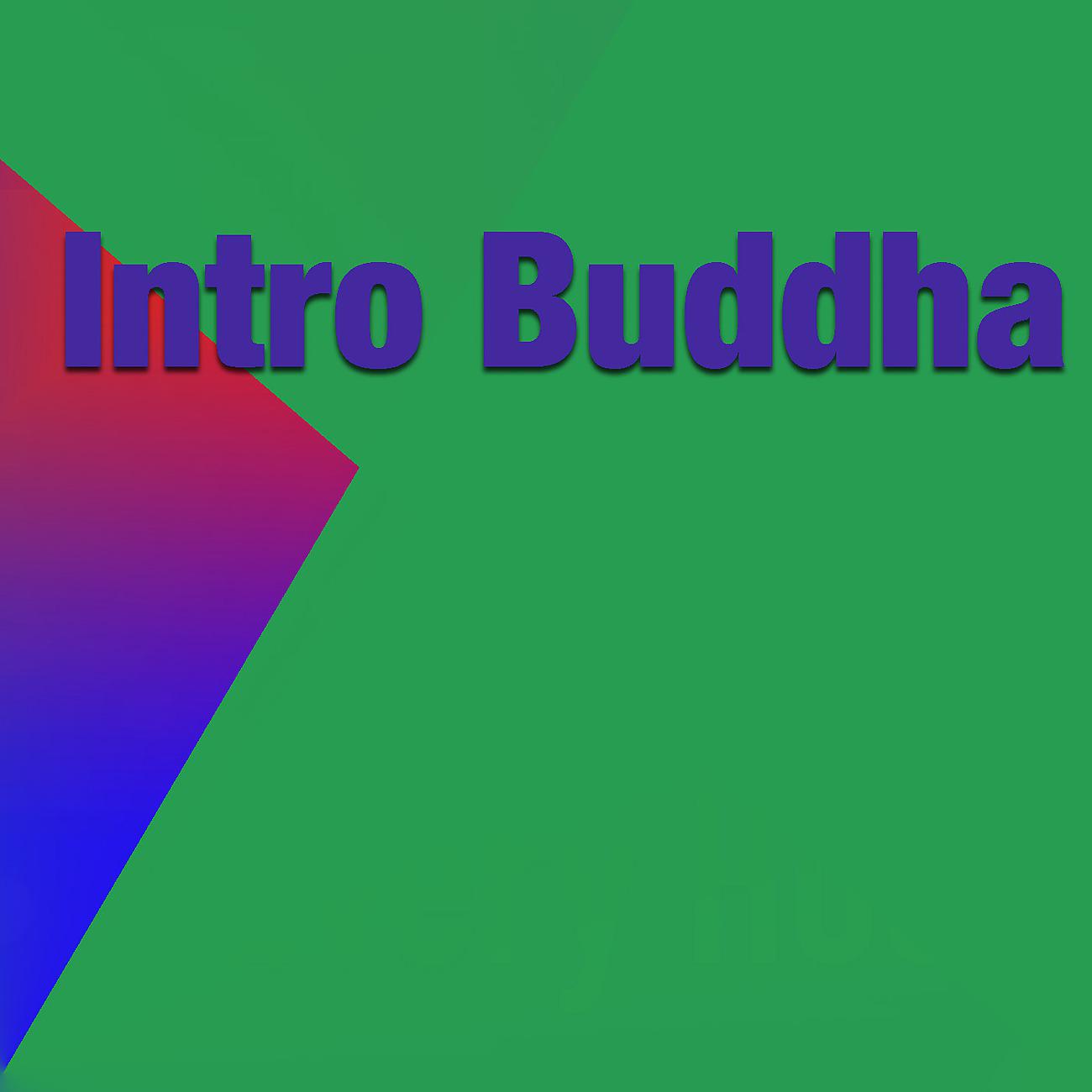 Постер альбома Intro Buddha