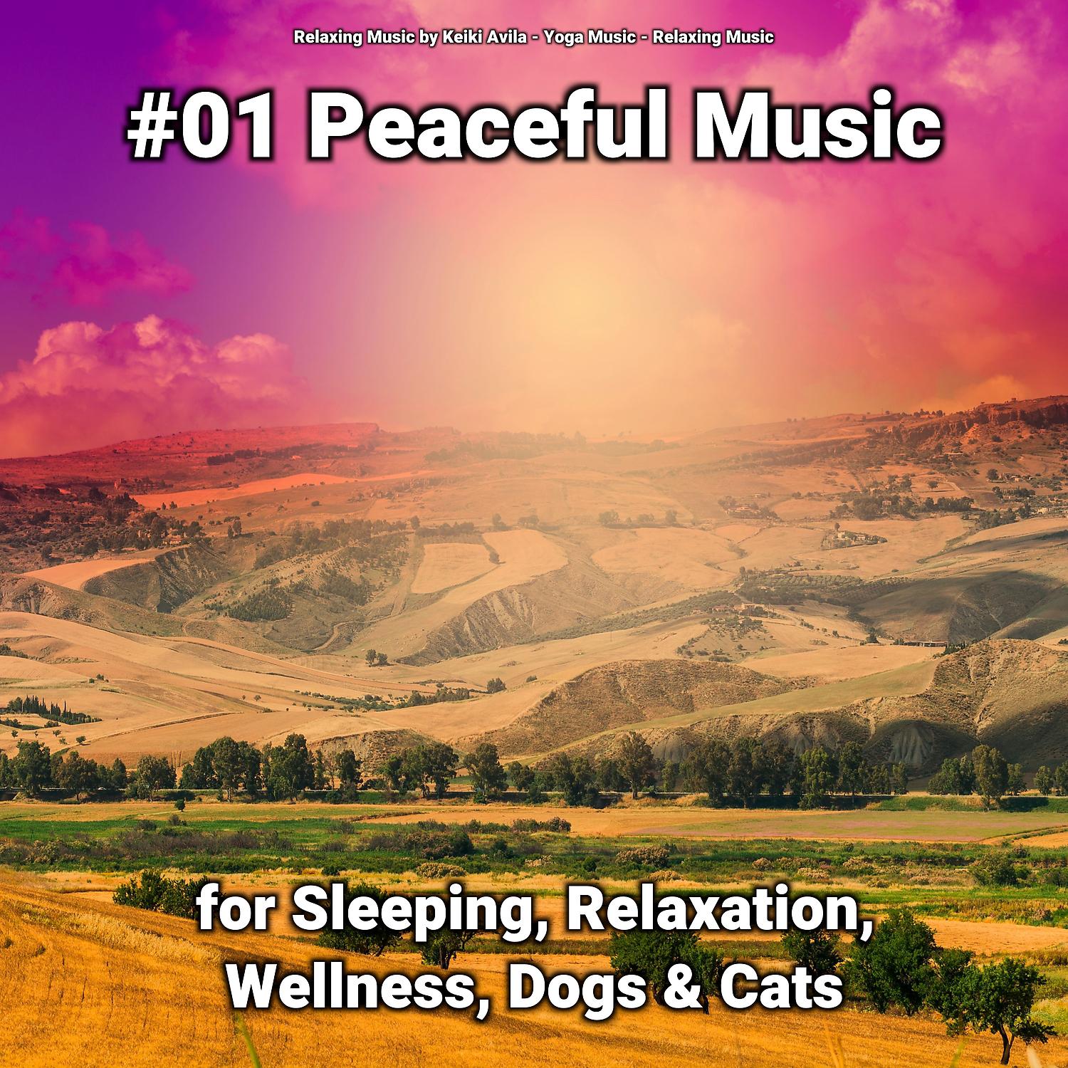 Постер альбома #01 Peaceful Music for Sleeping, Relaxation, Wellness, Dogs & Cats