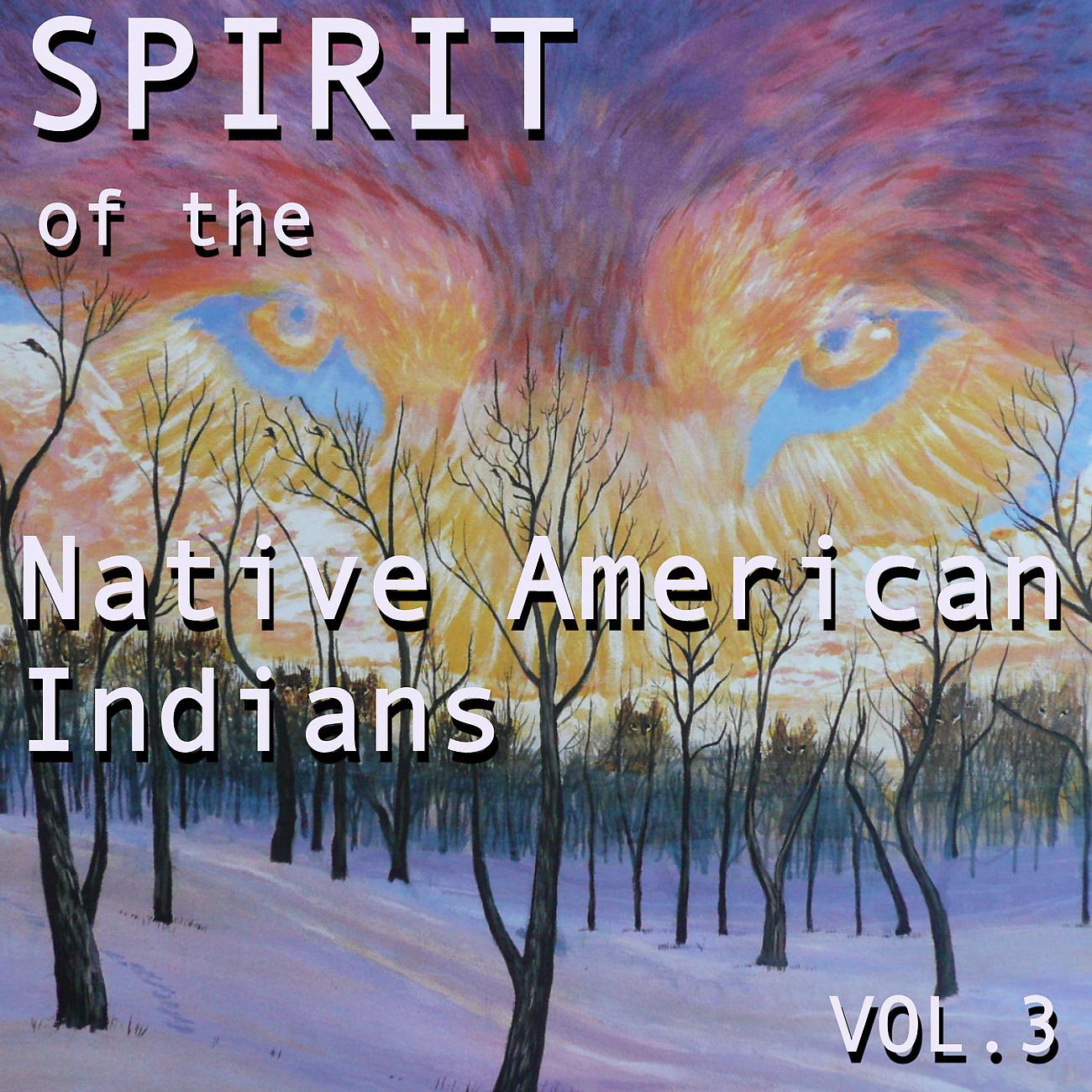 Постер альбома Spirit of the Native American Indians, Vol. 3