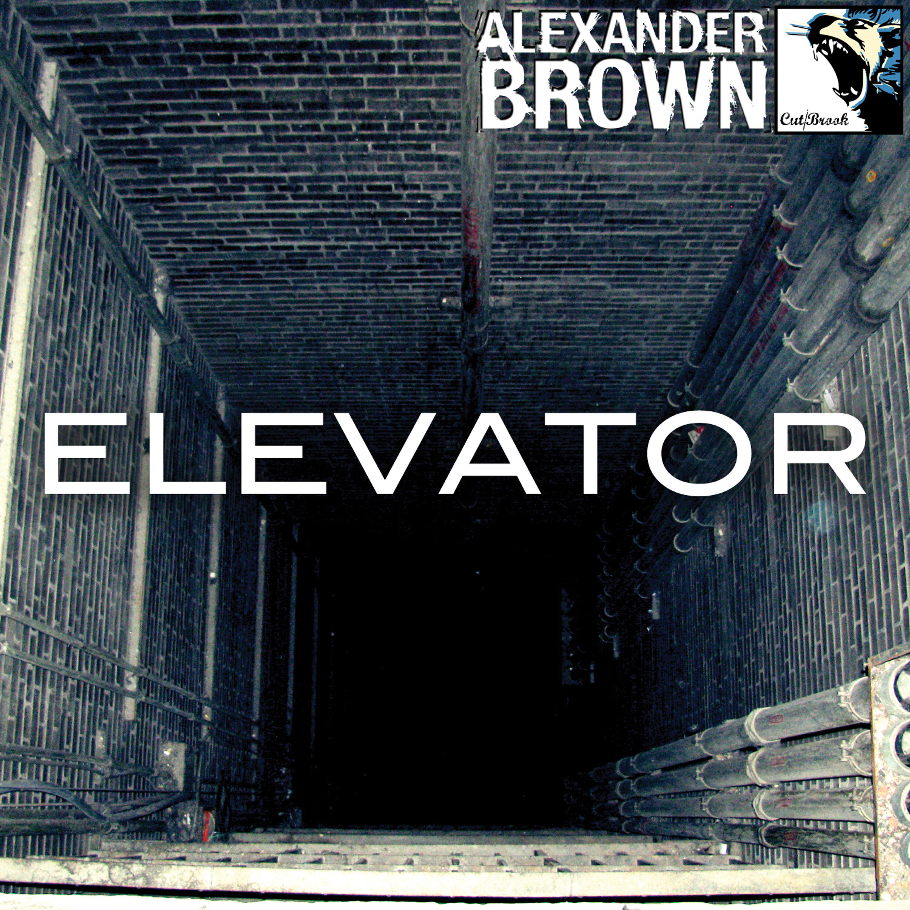 Alexander Brown - Elevator (Original Mix)