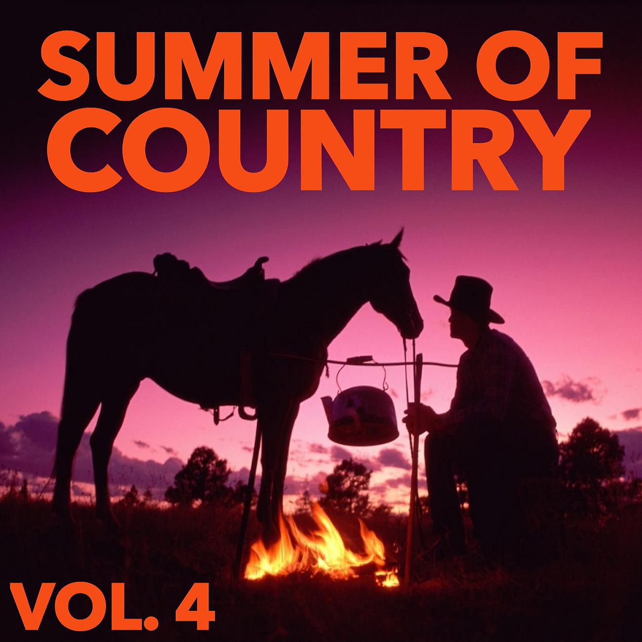 Постер альбома Summer of Country, Vol. 4
