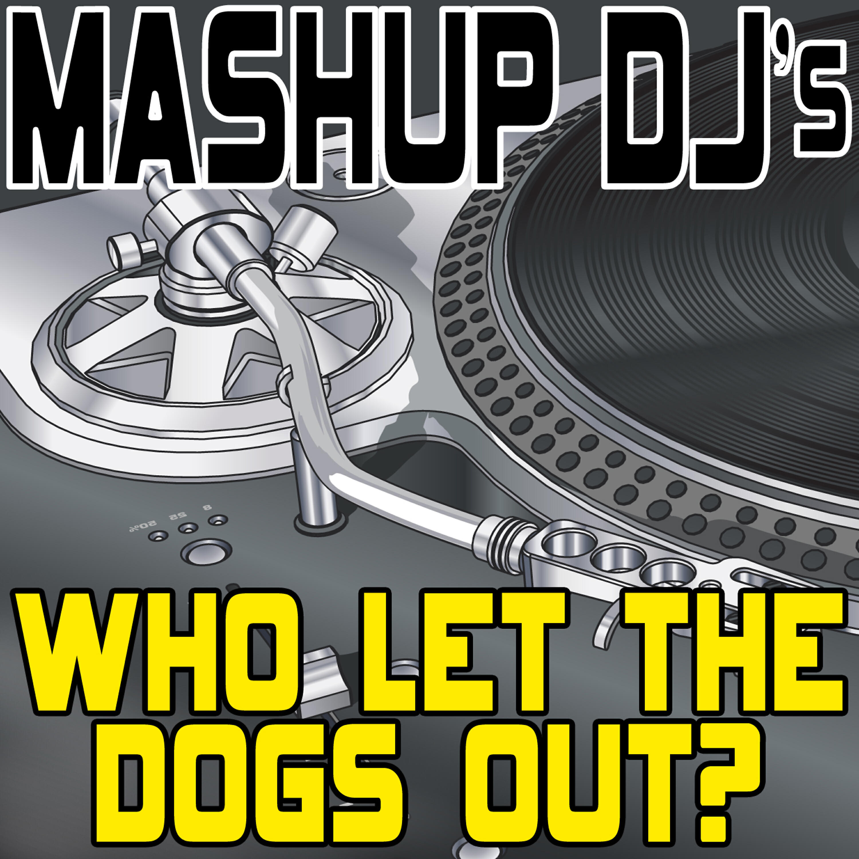 Mashup DJ's - Who Let the Dogs Out? (Original Radio Mix) [Re-Mix Tool]