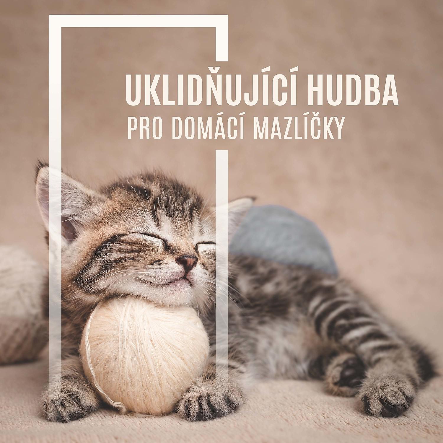 Постер альбома Uklidňující Hudba pro Domácí Mazlíčky