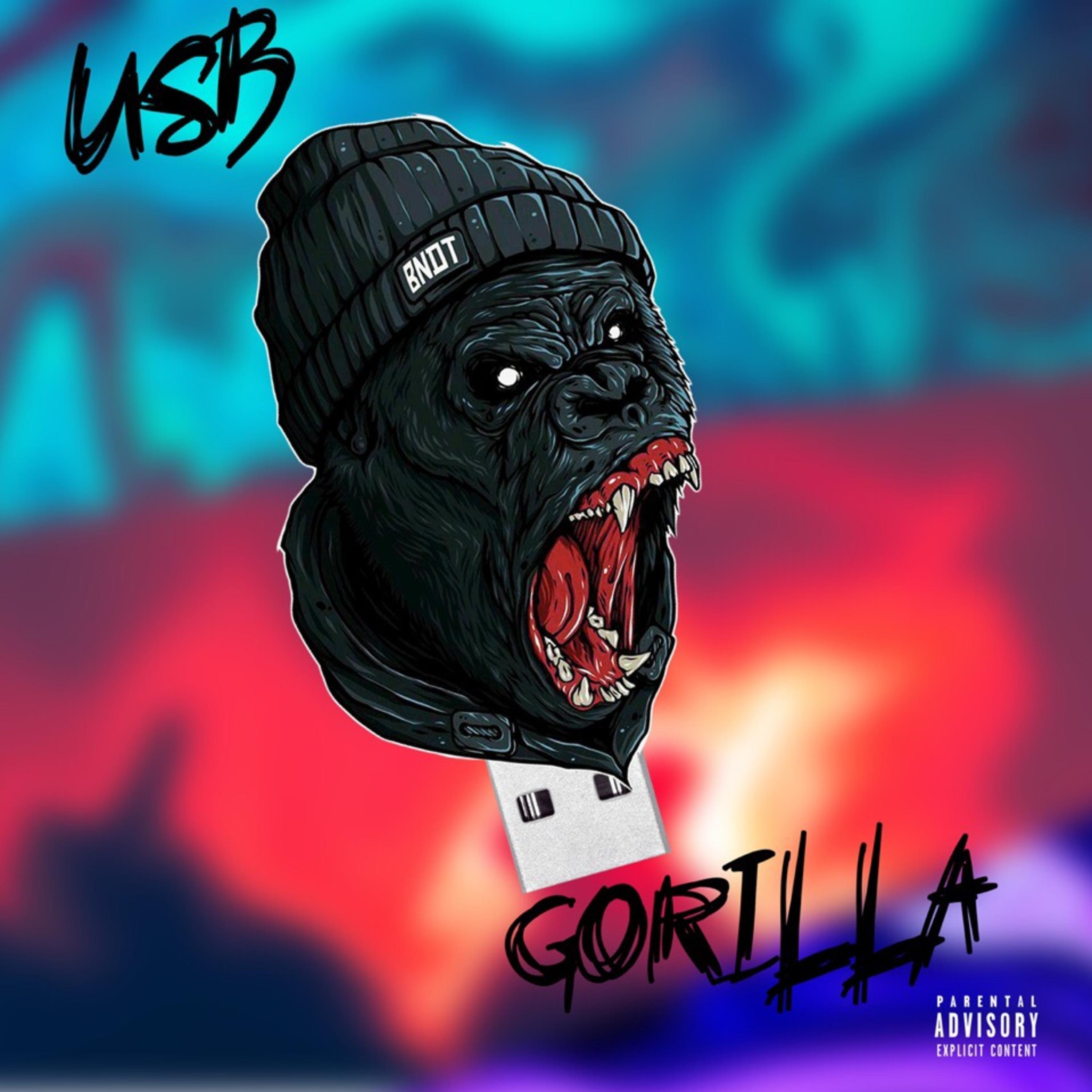 Постер альбома Usb Gorilla