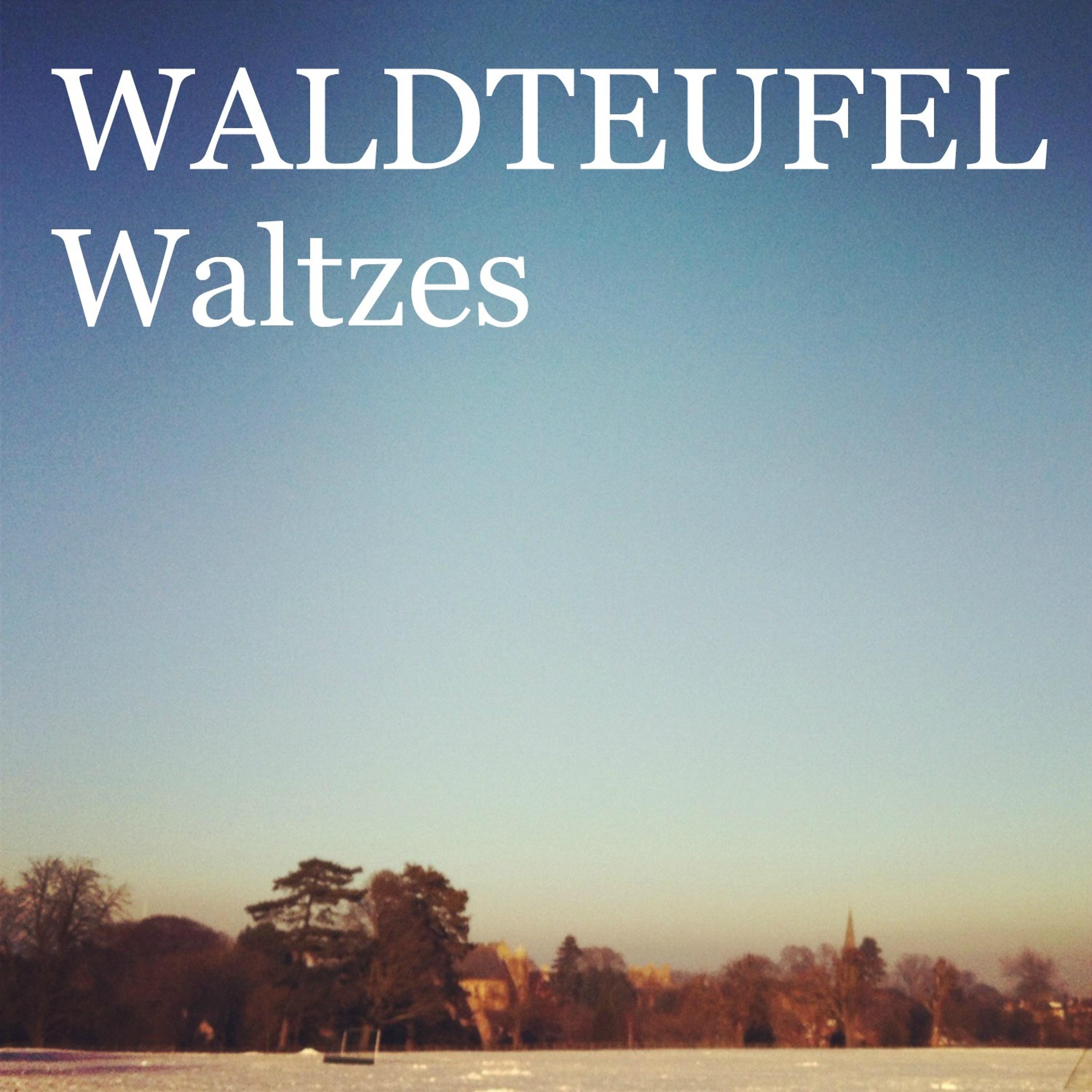 Постер альбома Waldteufel - Waltzes
