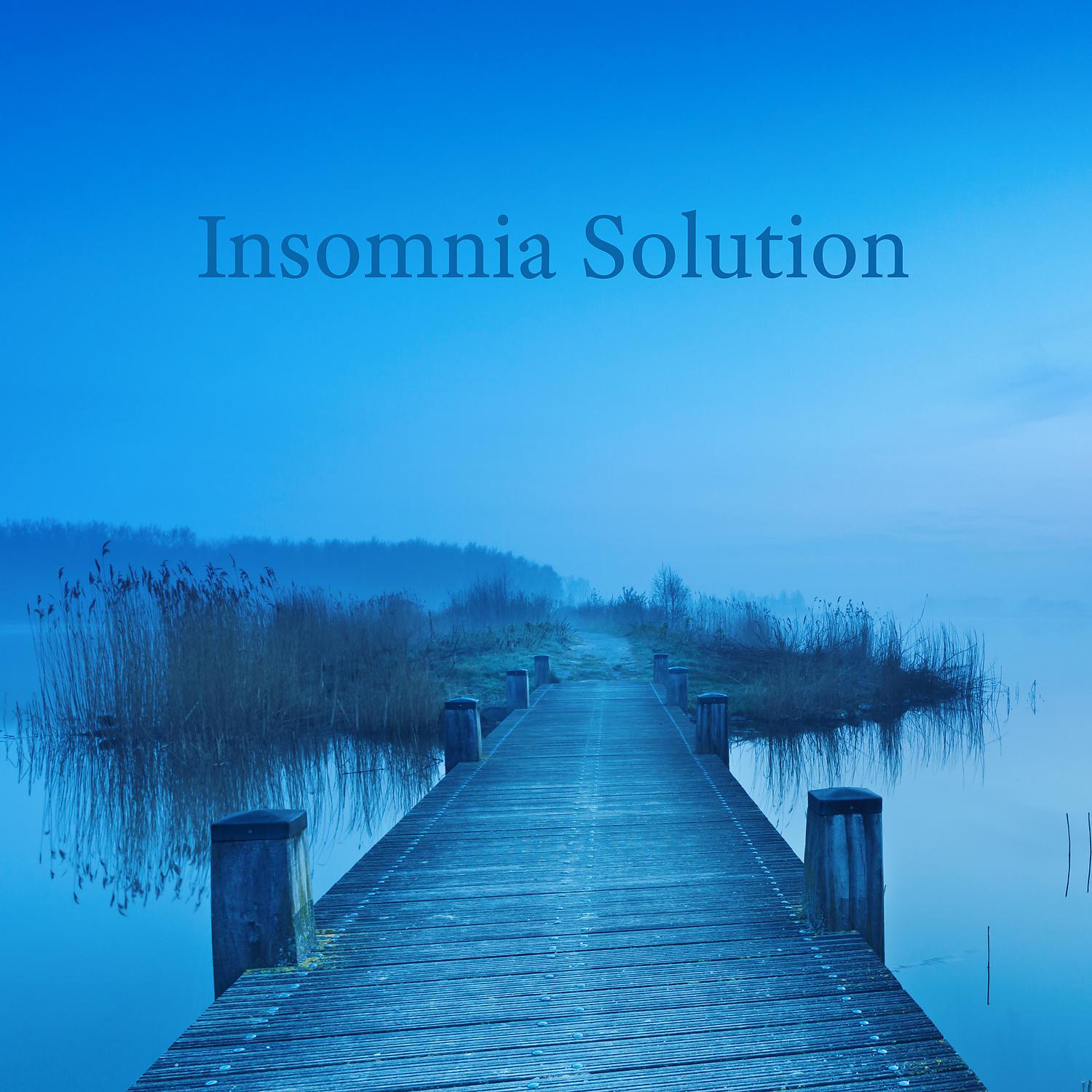 Постер альбома Insomnia Solution - Soft Rain and Relaxing Sleeping Music, Deep Sleep Meditation to Reduce Anger and Stress