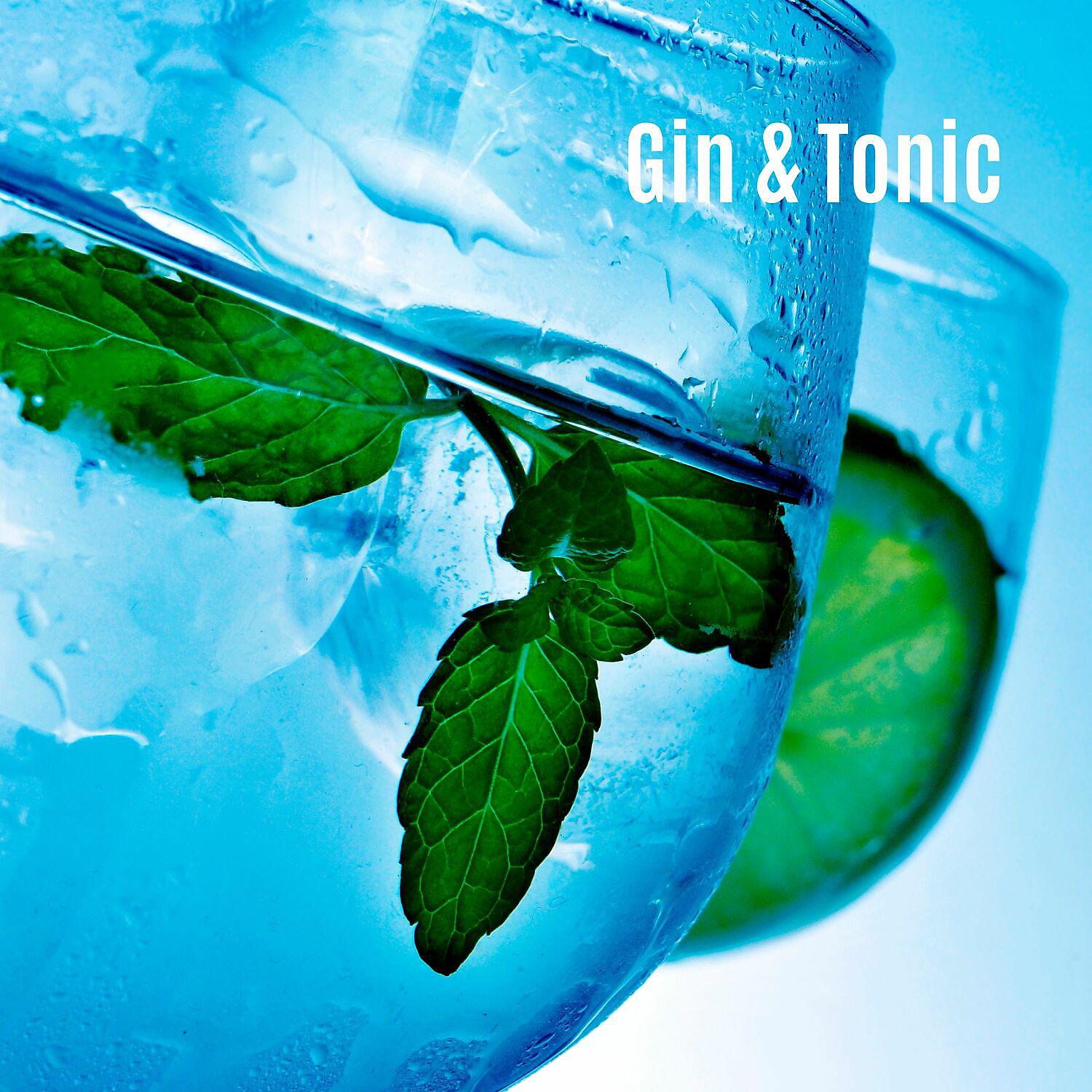Постер альбома Gin & Tonic - Blues for the Gentelmens