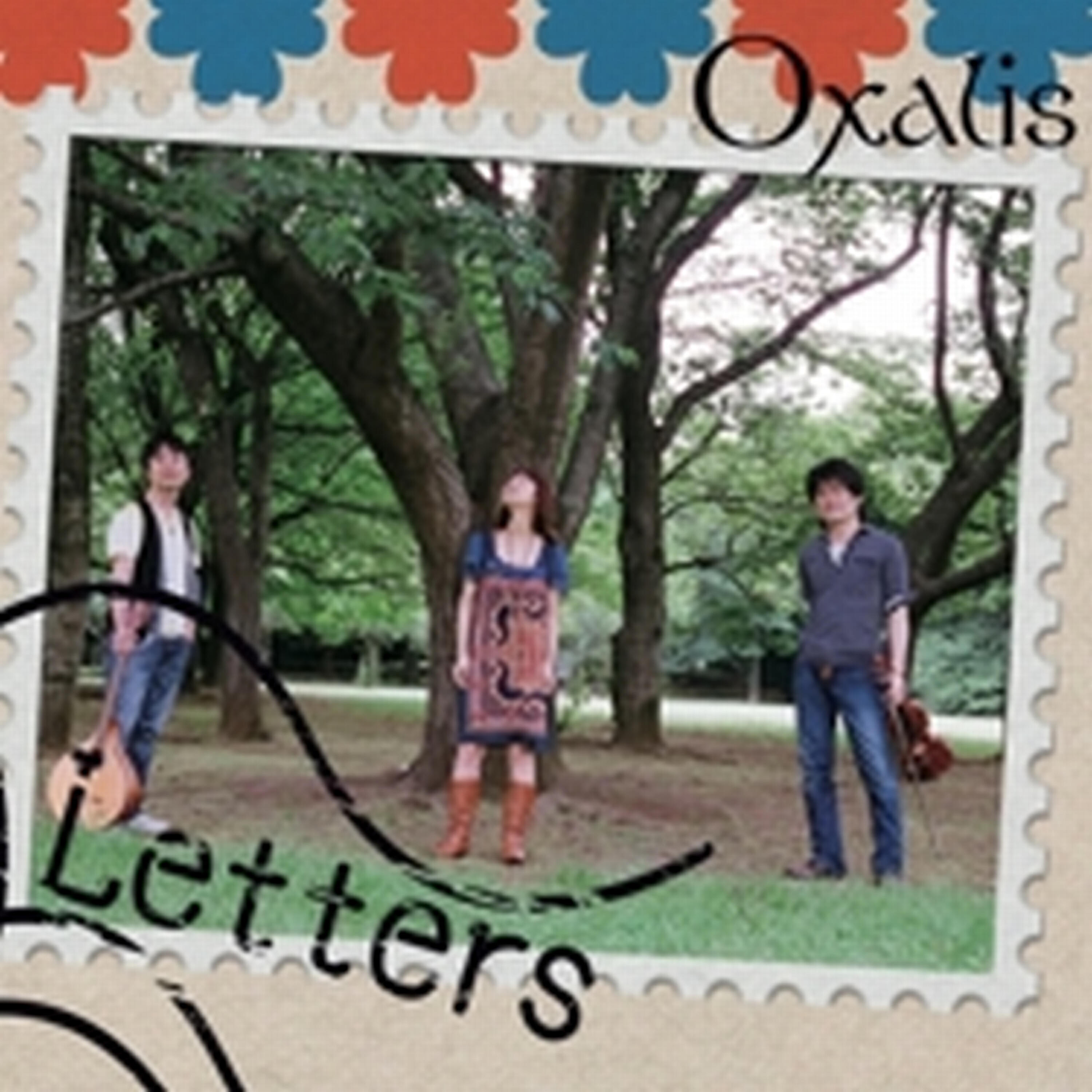 Oxalis - pancake