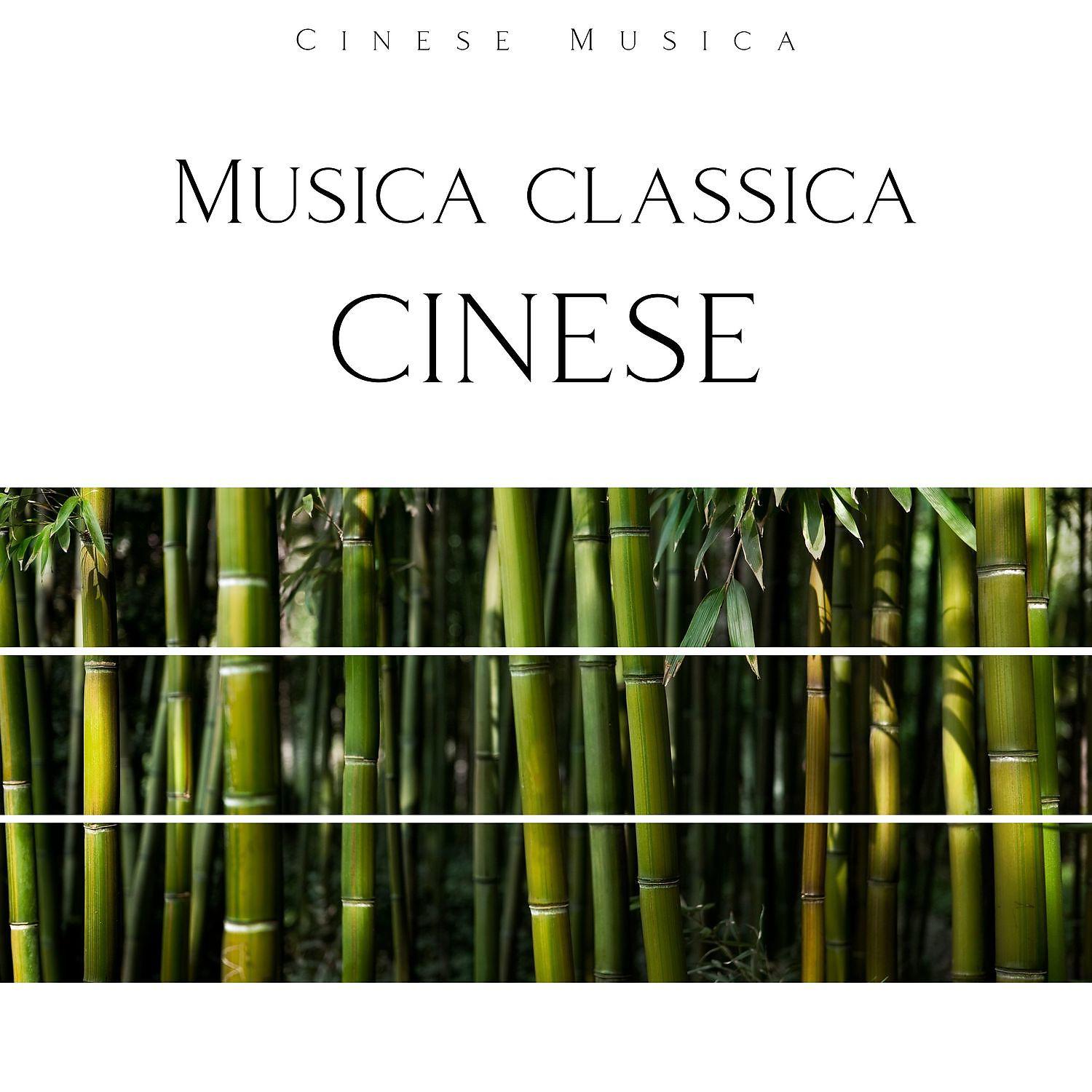 Постер альбома Musica classica cinese