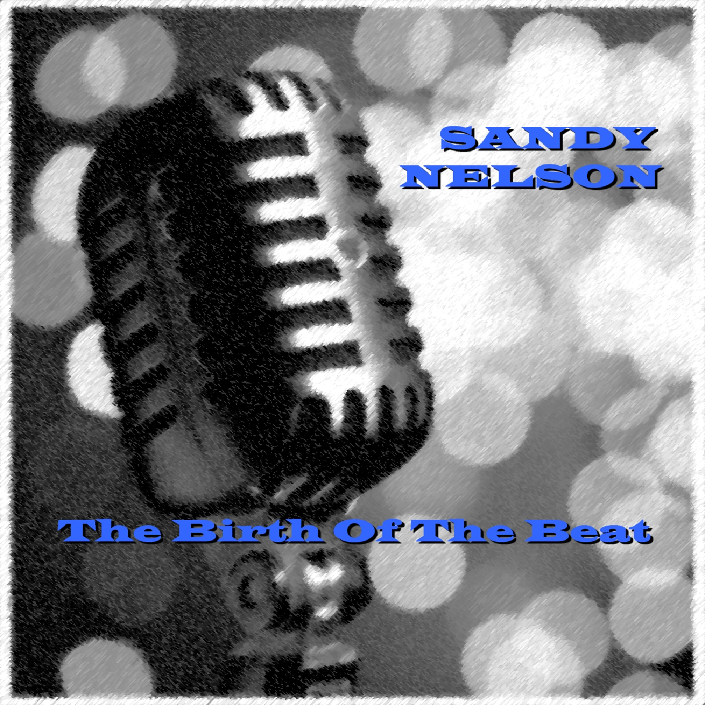 Sandy Nelson - The Big Noise From Winnetka