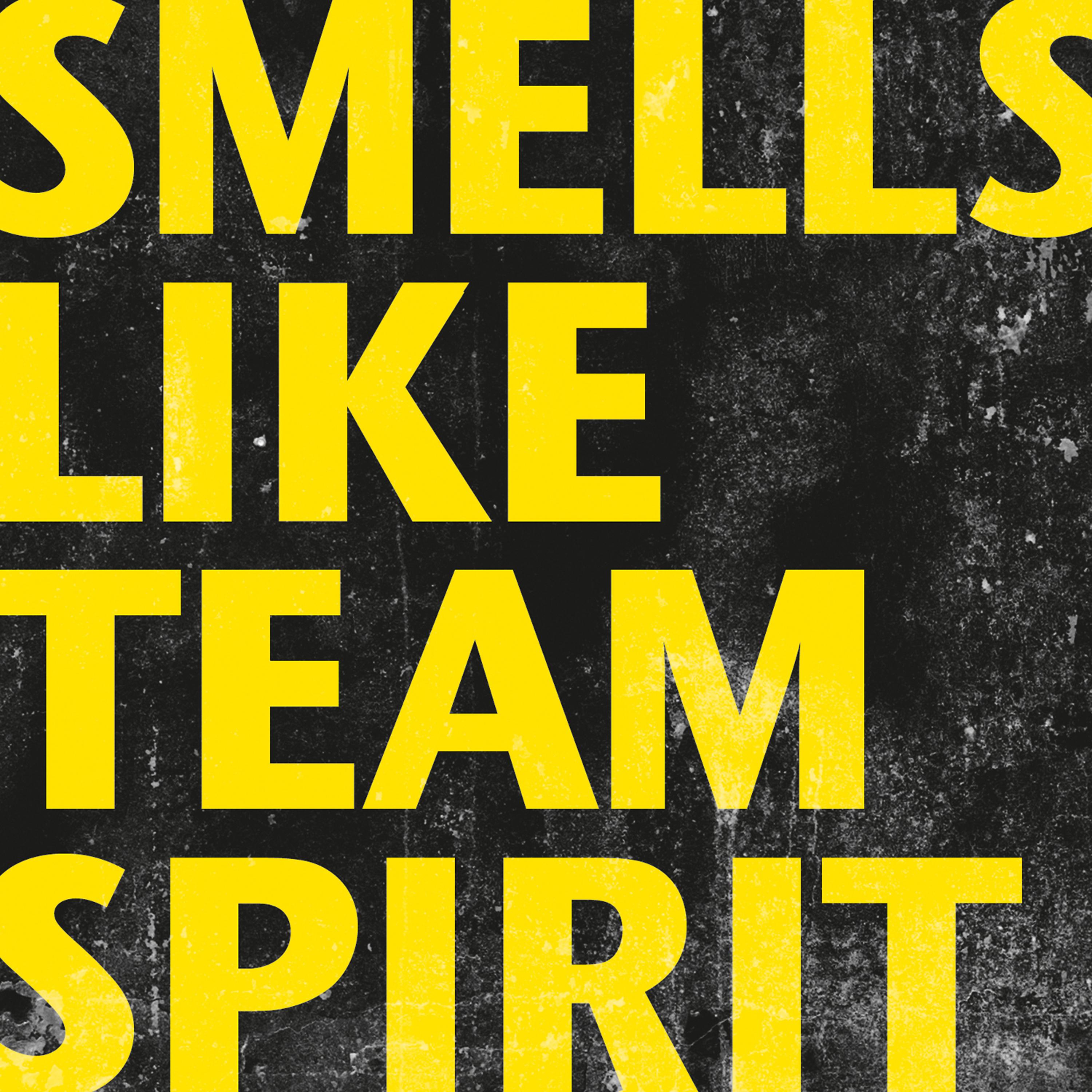 Постер альбома Smells Like Team Spirit