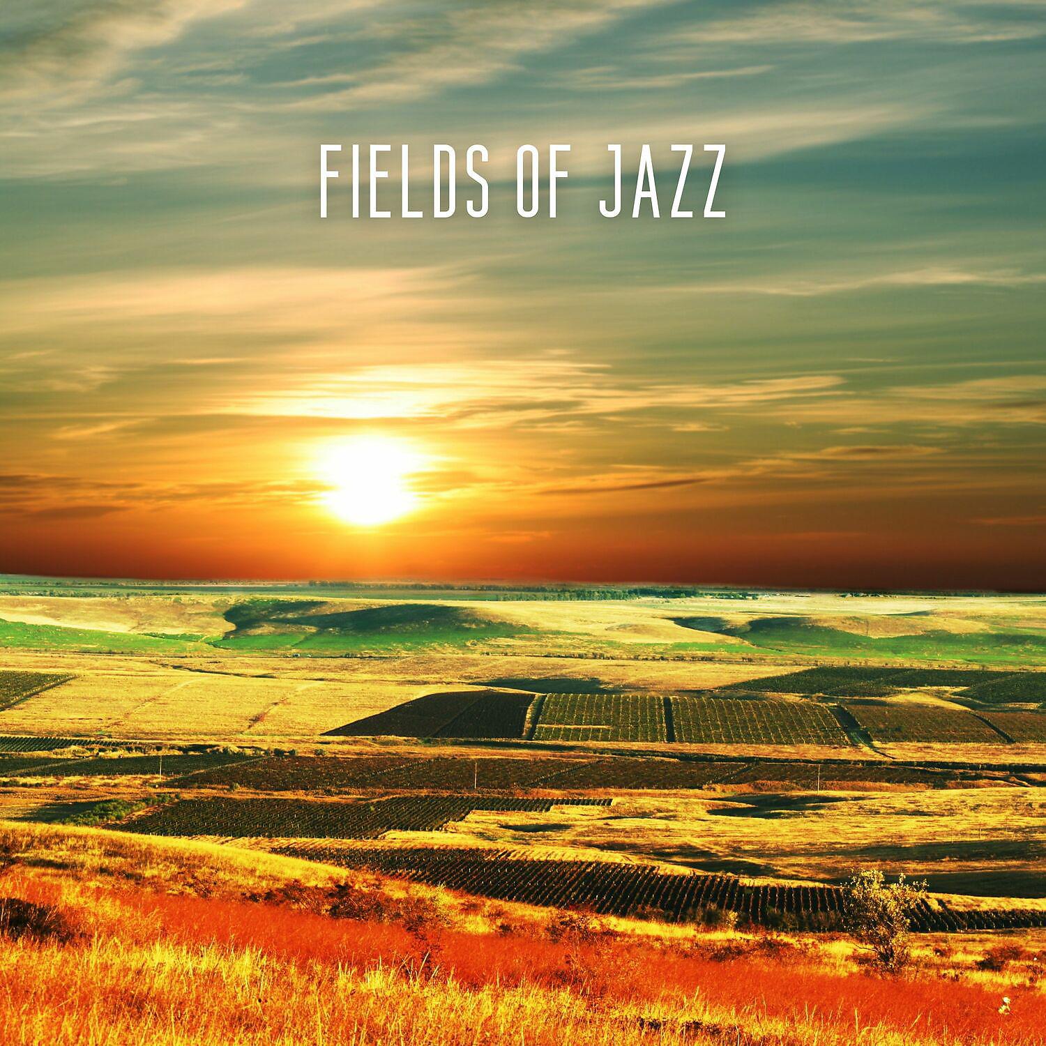 Постер альбома Fields of Jazz