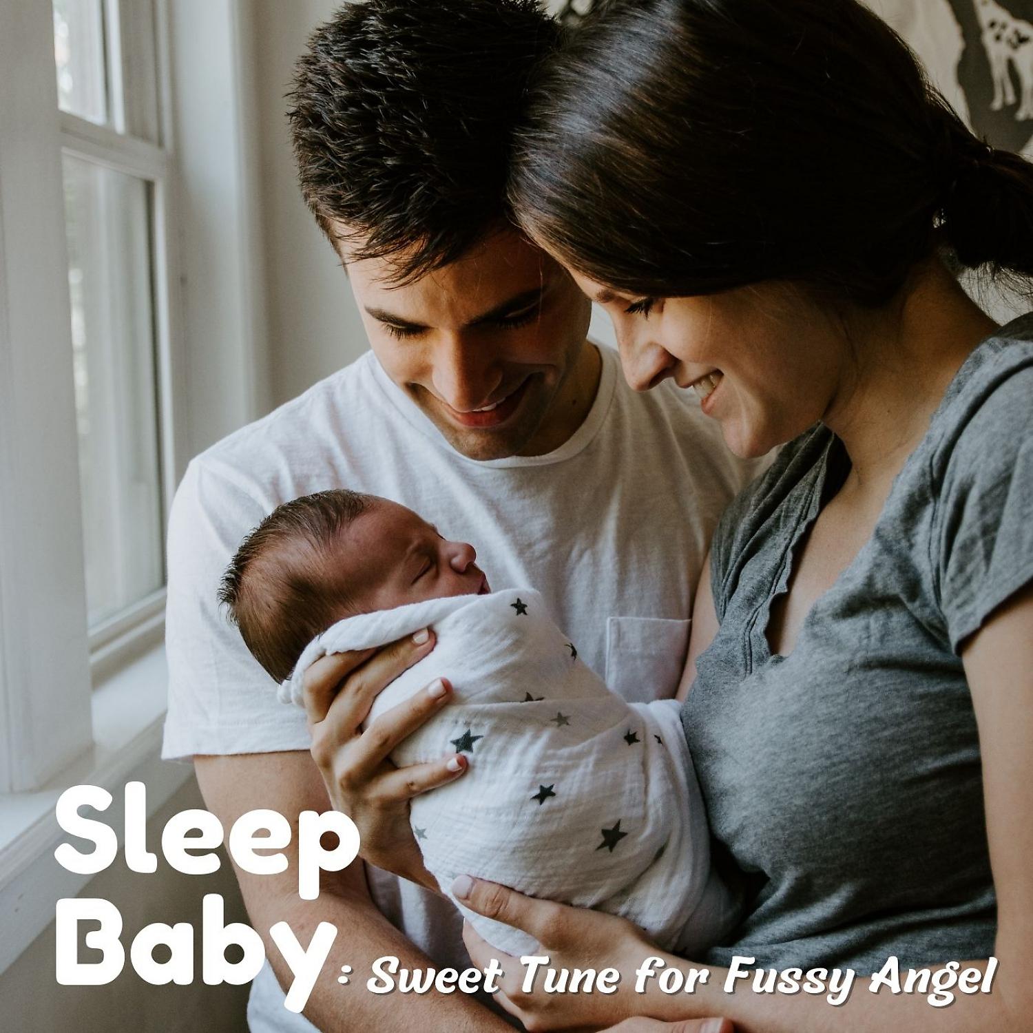 Постер альбома Sleep Baby: Sweet Tune for Fussy Angel