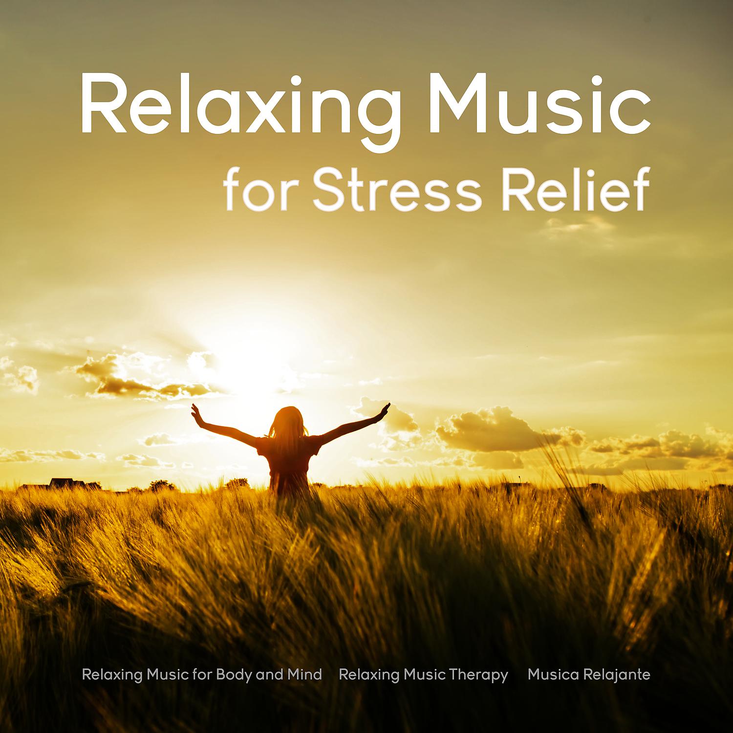 Постер альбома Relaxing Music for Stress Relief