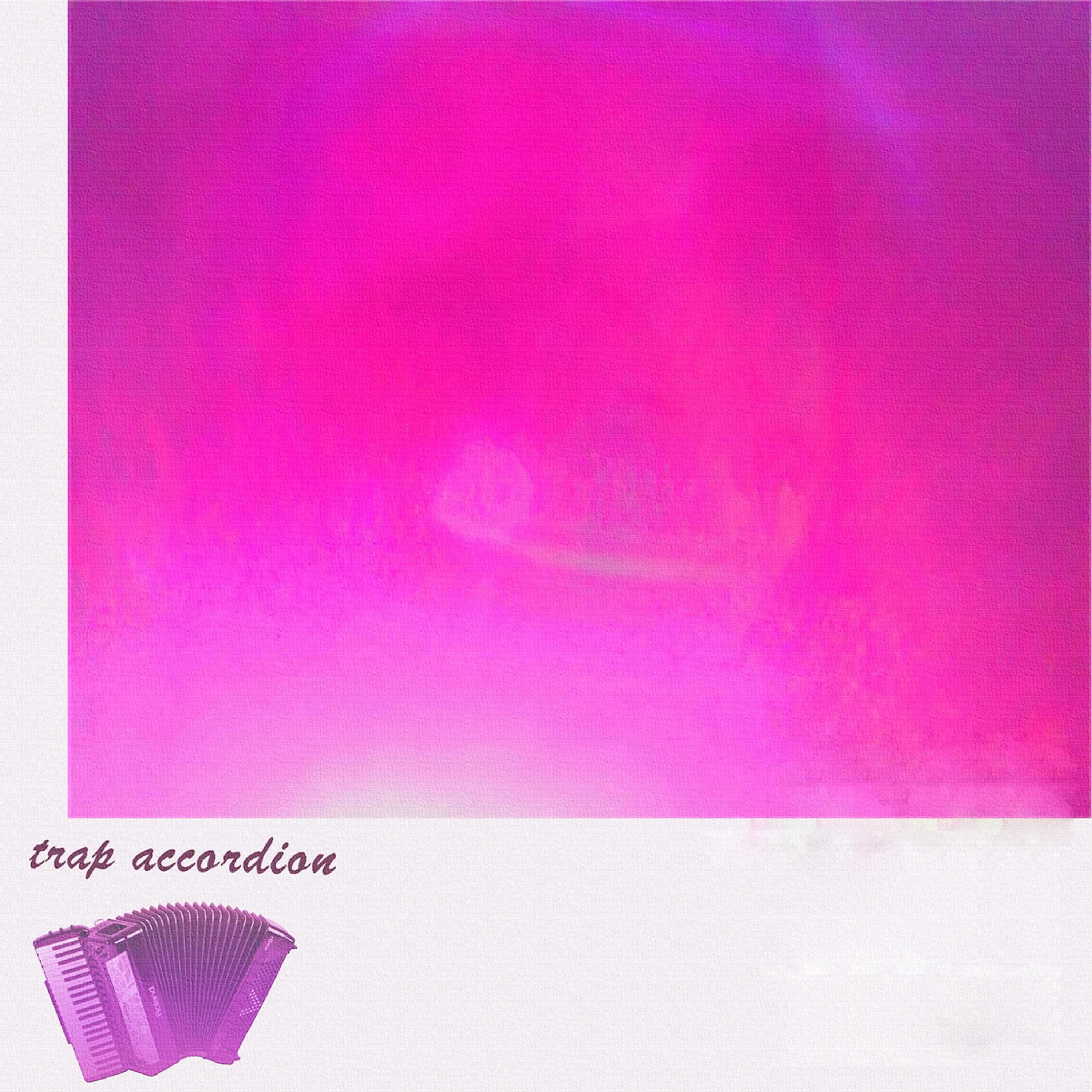 Постер альбома Trap Accordion