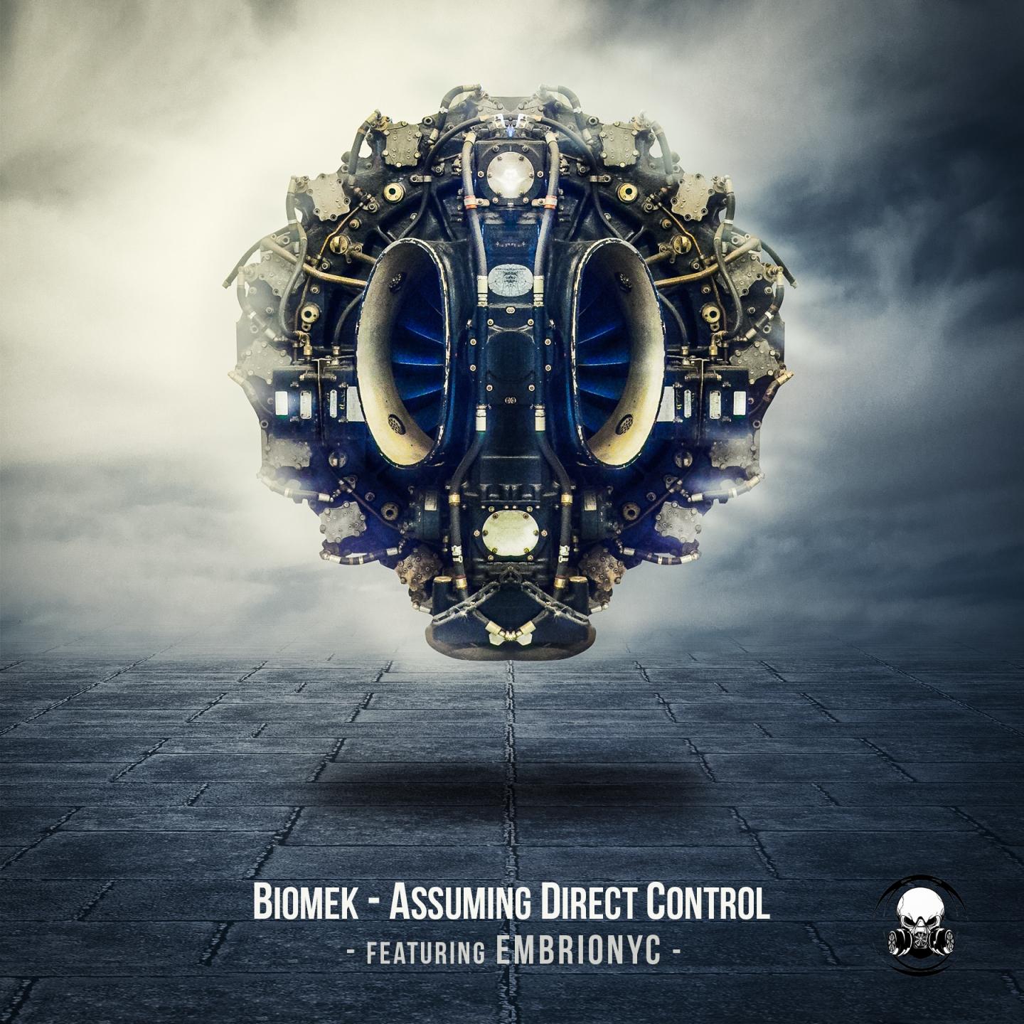 Постер альбома Assuming Direct Control