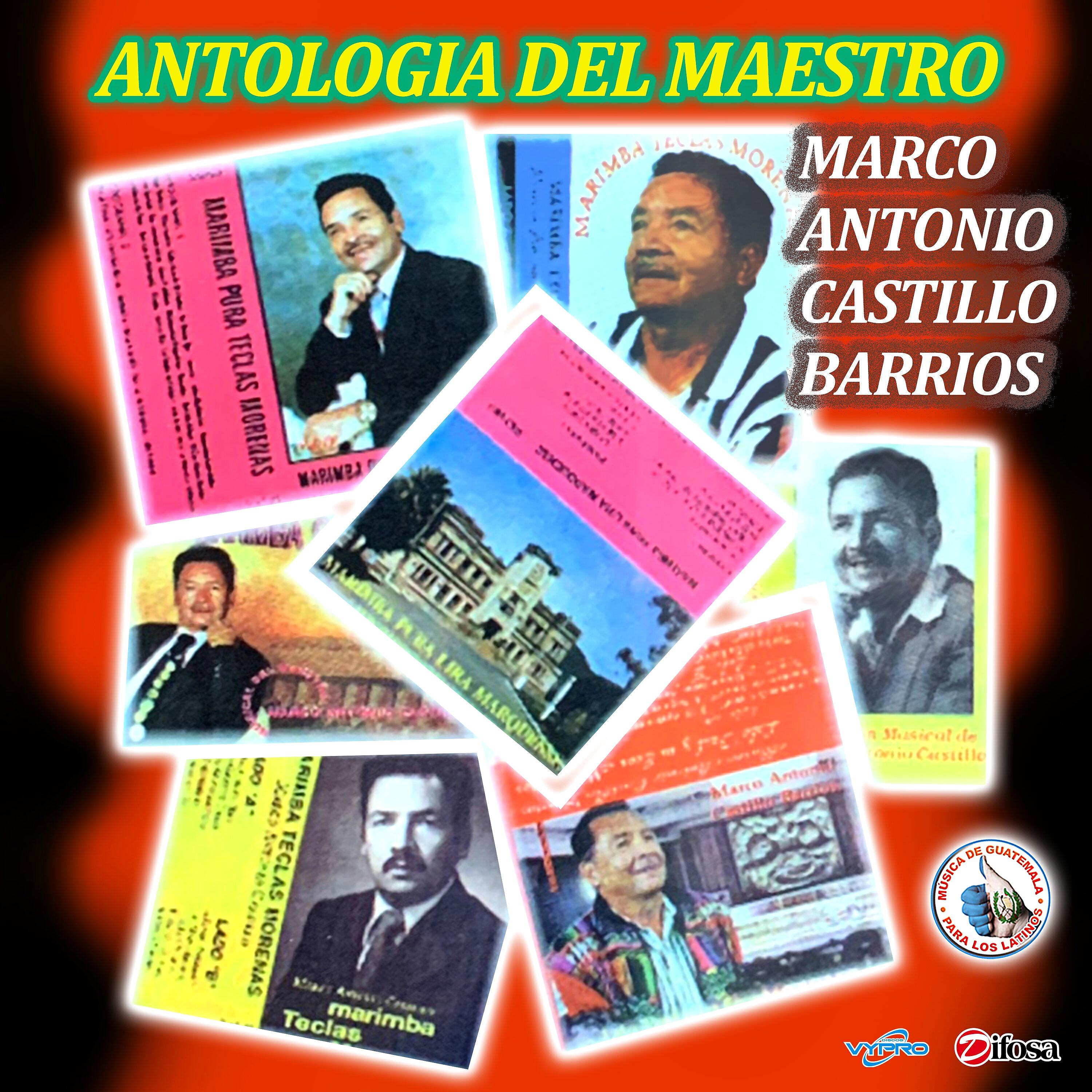 Marimba Teclas Morenas - Seguiré Tus Pasos