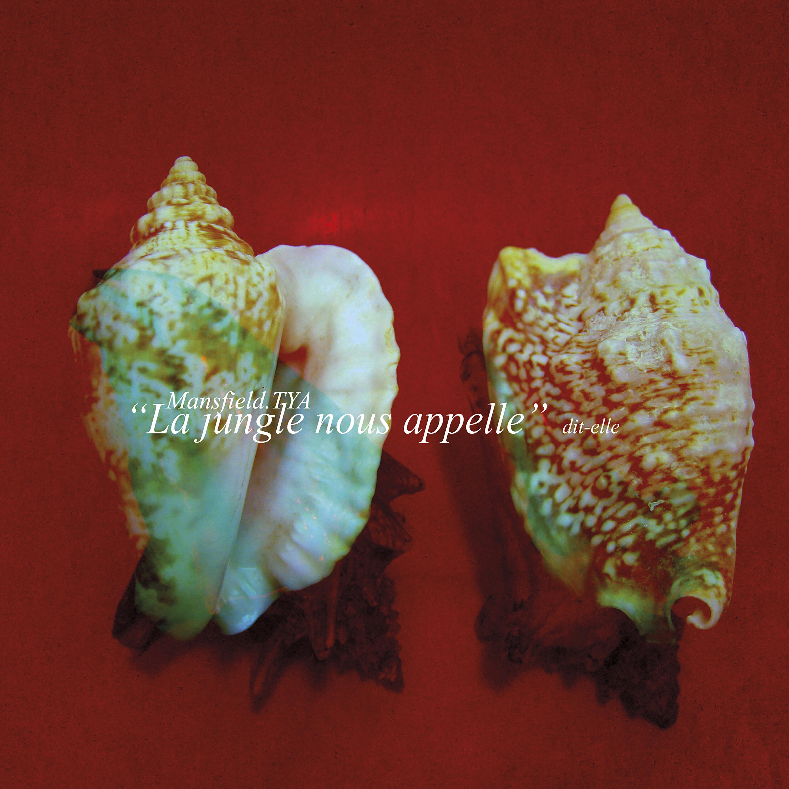 Mansfield.TYA - Rendered