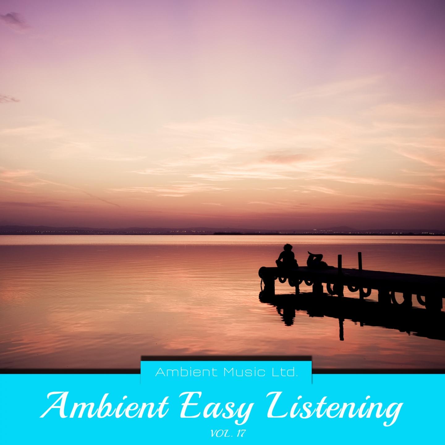 Постер альбома Ambient Easy Listening, Vol. 17