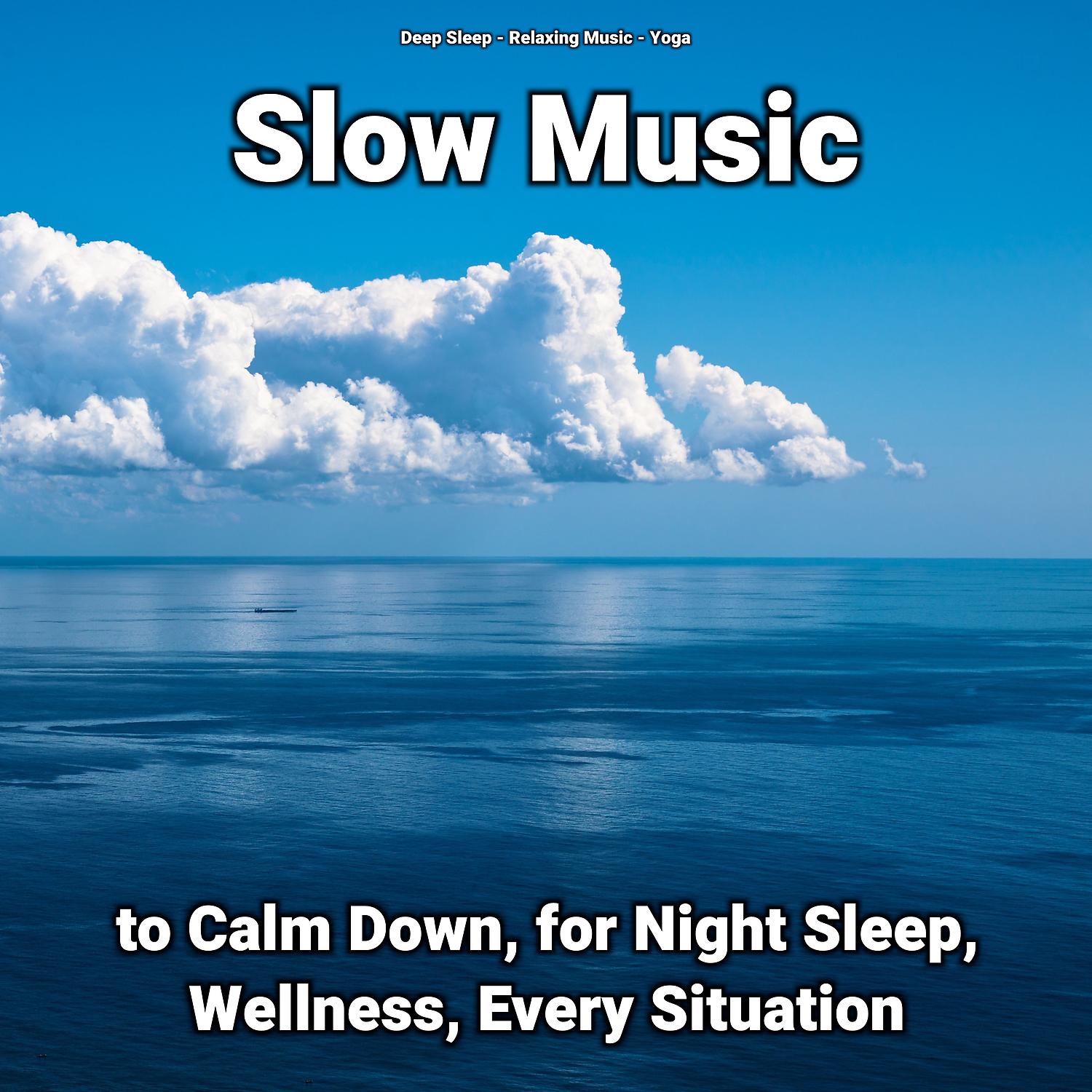 Постер альбома Slow Music to Calm Down, for Night Sleep, Wellness, Every Situation