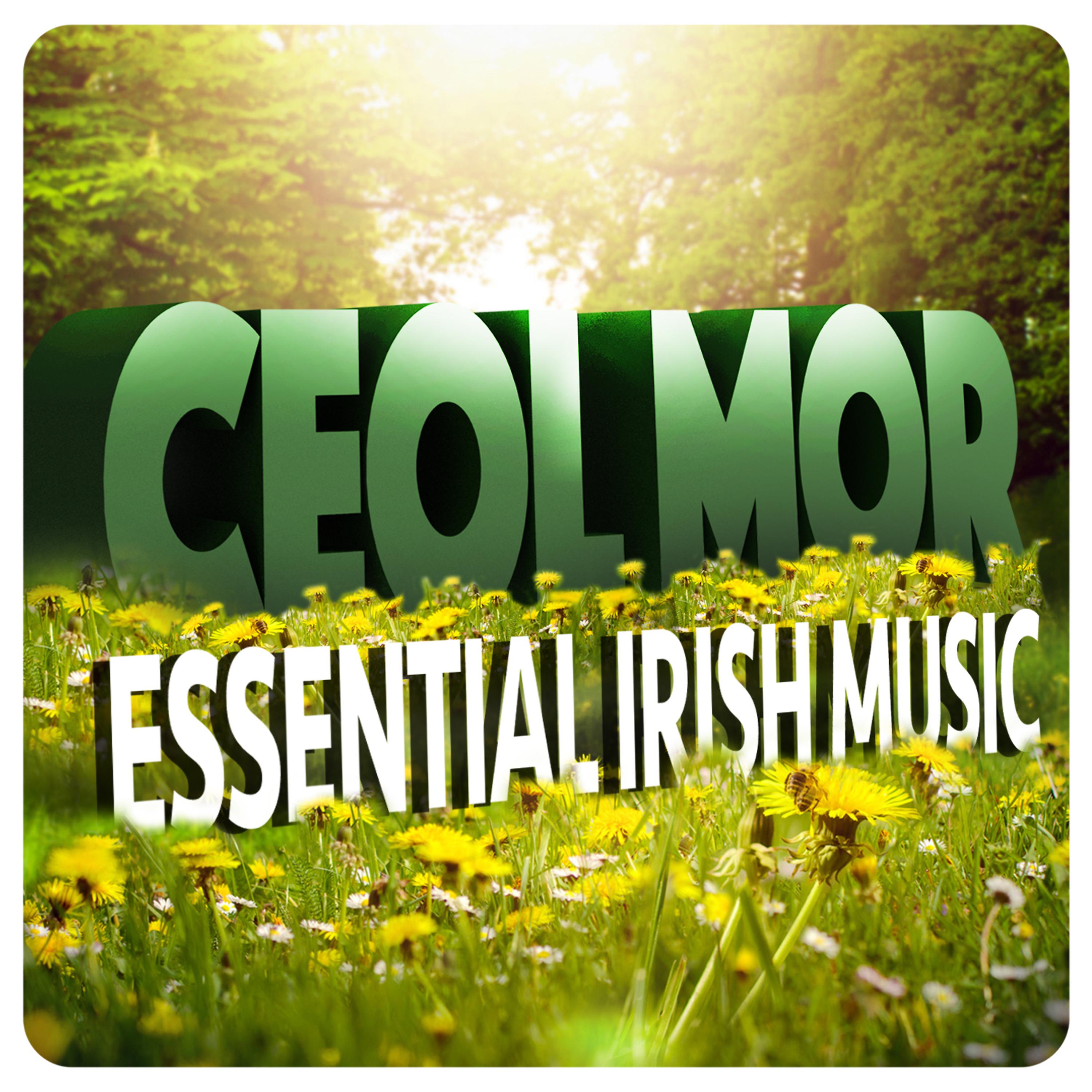 Постер альбома Ceol Mor: Essential Irish Music