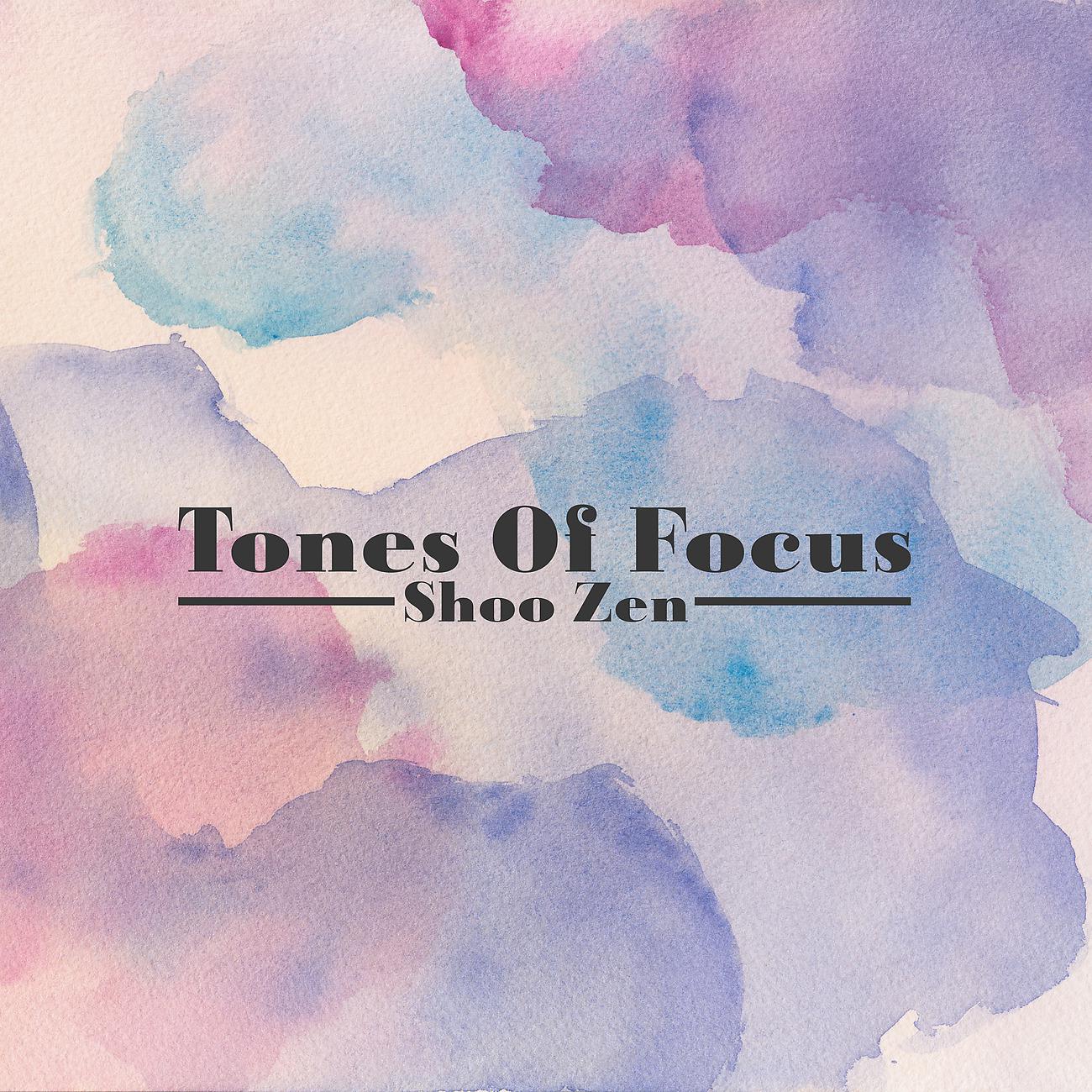 Постер альбома Tones Of Focus