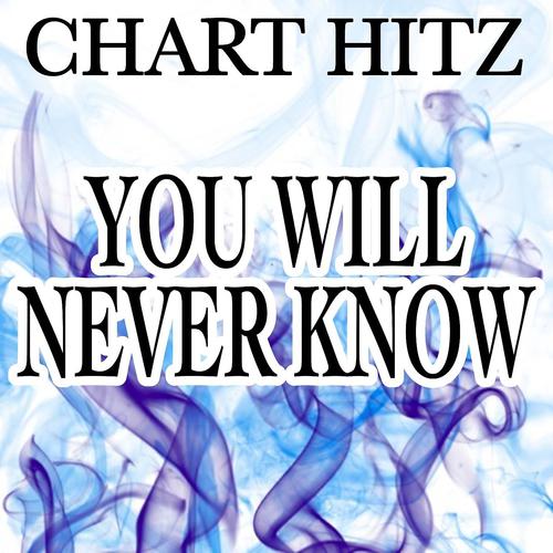 Chart Hitz - You Will Never Know - Tribute to Imany