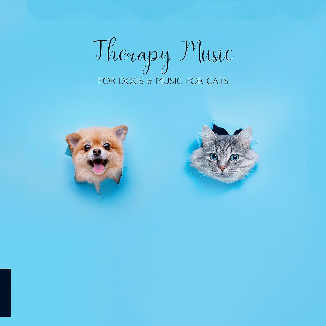 Постер альбома Therapy Music for Dogs & Music for Cats with Healing Sounds of Nature (Birds, Sea Waves & Gentle Rain), Your Favorite Pet Lullaby, Feline & Canine Relaxation
